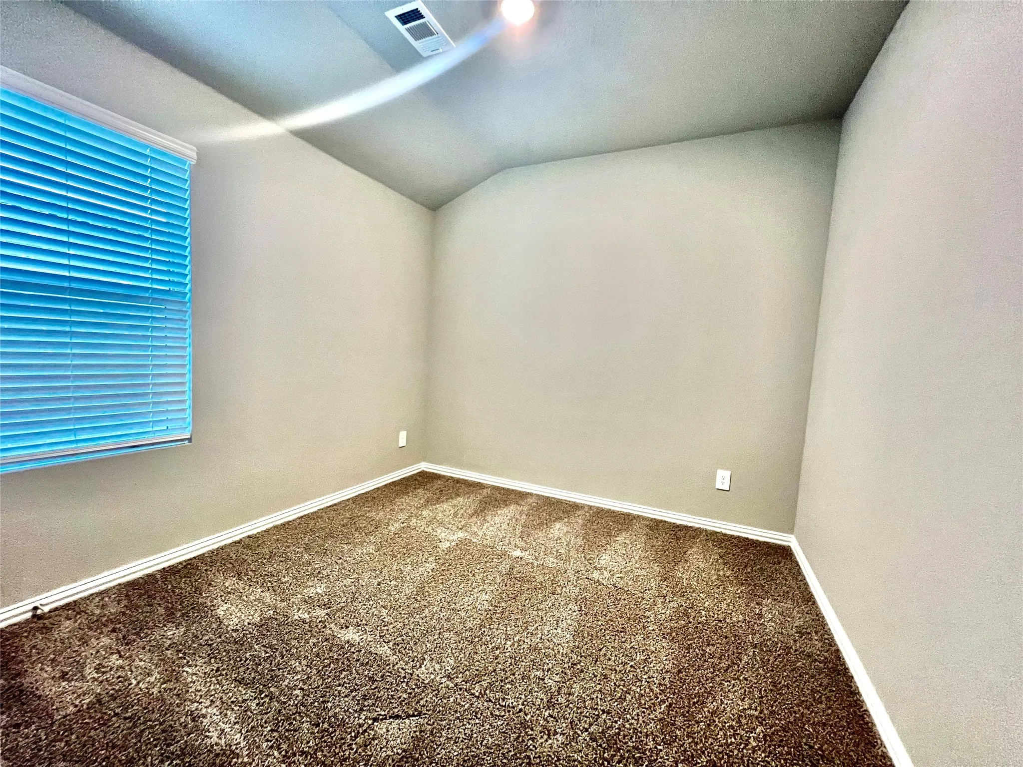 Neutral wall tones complement the plush brown carpeting