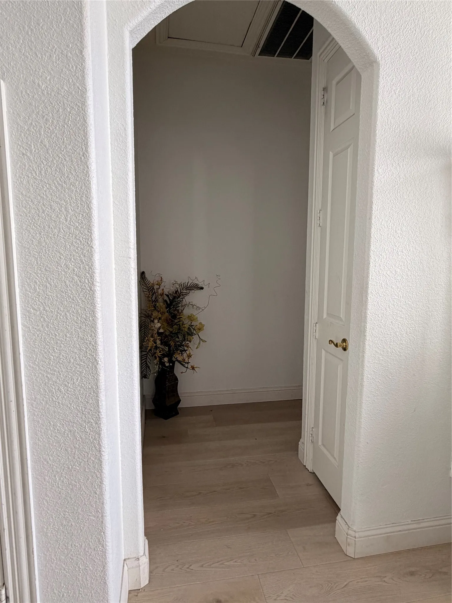Archway entryway with wood-finish flooring