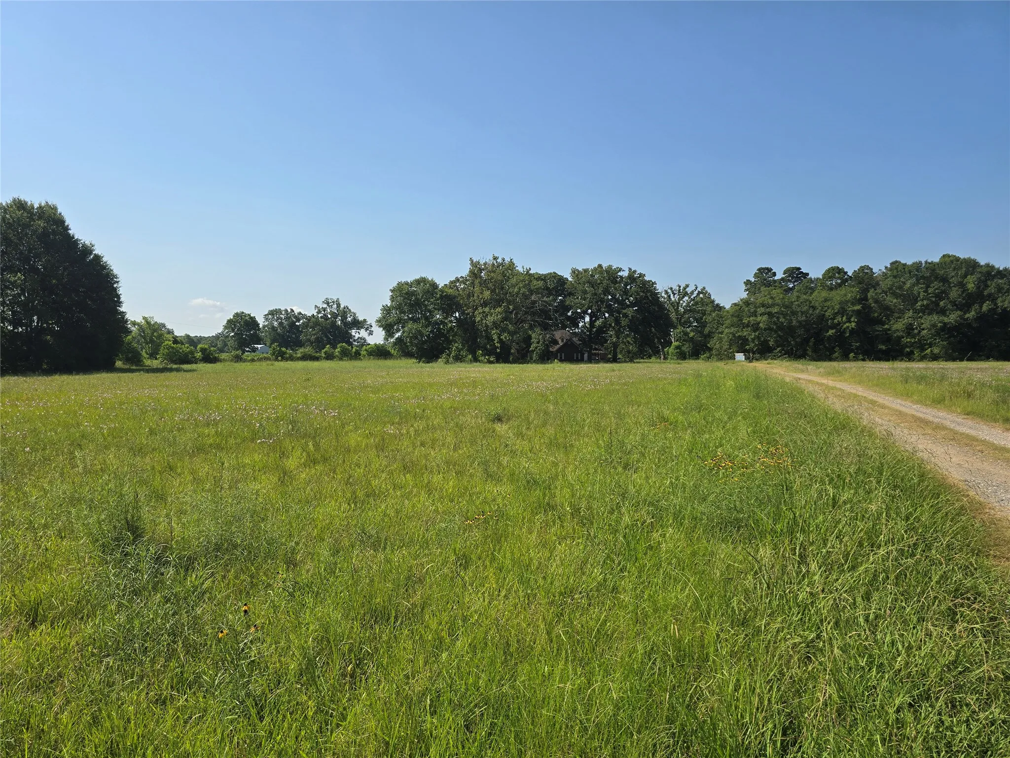 Single Family Residence For Sale in Harrison County , 3952 Fm 451, Waskom, Texas 75692, 4 Bedroom, 4 Bathroom, 2 Garage spaces, 2,952 Sqft, built in 2001, mls#21321485, Real Estate Agent in Waskom, Homes For Sale in Harrison county, Homes For Sale in Waskom, Realtor in Waskom Texas, Real Estate Brokerage Independent Realty Texas, Luminita Cordes Realtor