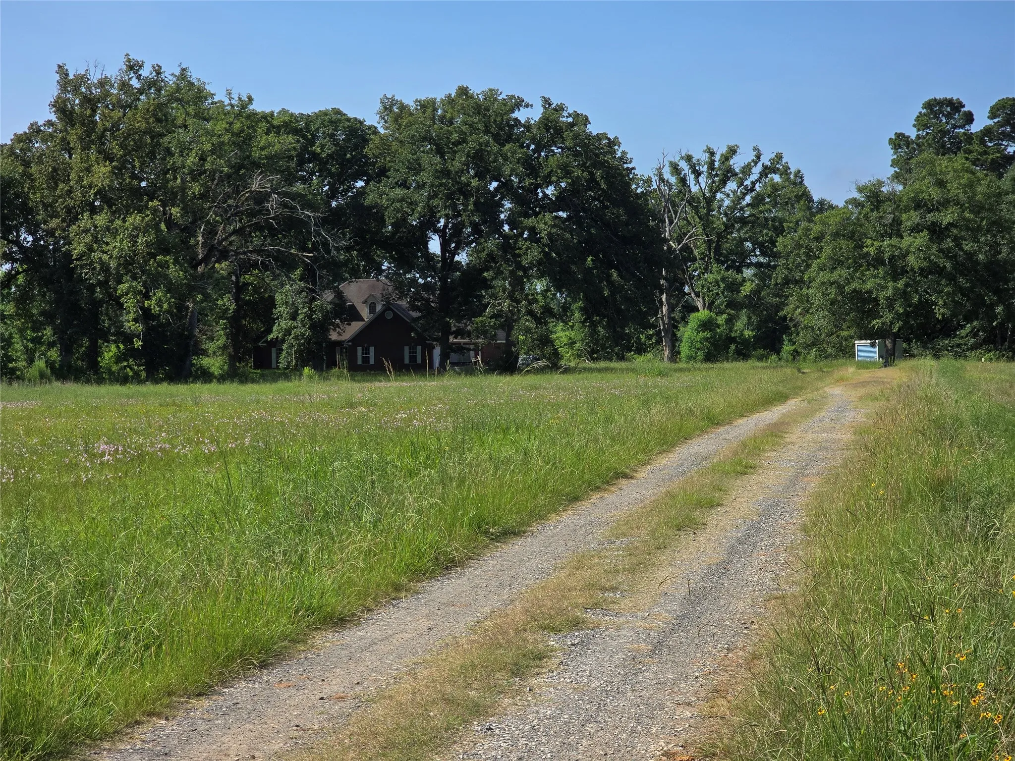 Single Family Residence For Sale in Harrison County , 3952 Fm 451, Waskom, Texas 75692, 4 Bedroom, 4 Bathroom, 2 Garage spaces, 2,952 Sqft, built in 2001, mls#21321485, Real Estate Agent in Waskom, Homes For Sale in Harrison county, Homes For Sale in Waskom, Realtor in Waskom Texas, Real Estate Brokerage Independent Realty Texas, Luminita Cordes Realtor