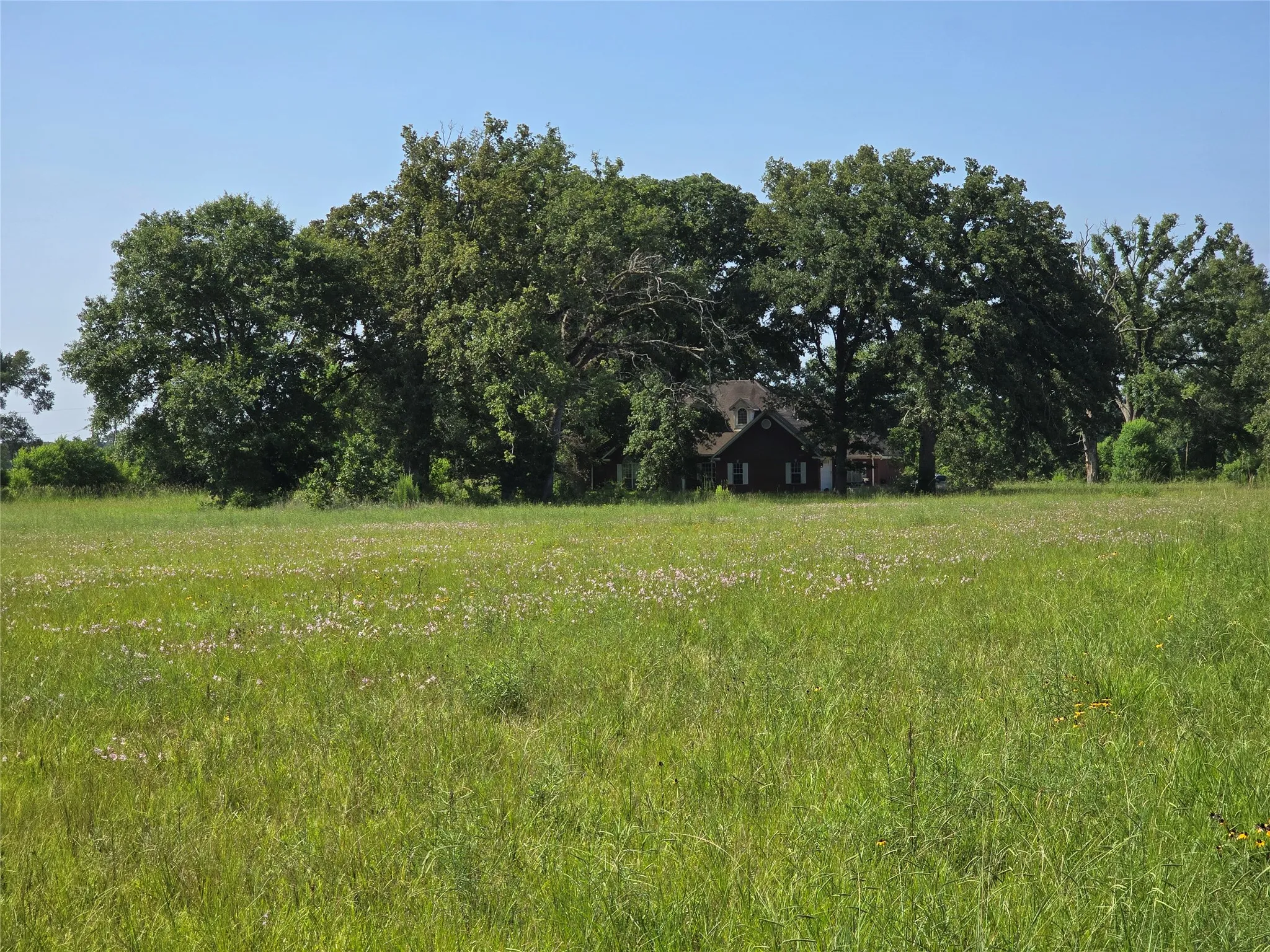 Single Family Residence For Sale in Harrison County , 3952 Fm 451, Waskom, Texas 75692, 4 Bedroom, 4 Bathroom, 2 Garage spaces, 2,952 Sqft, built in 2001, mls#21321485, Real Estate Agent in Waskom, Homes For Sale in Harrison county, Homes For Sale in Waskom, Realtor in Waskom Texas, Real Estate Brokerage Independent Realty Texas, Luminita Cordes Realtor