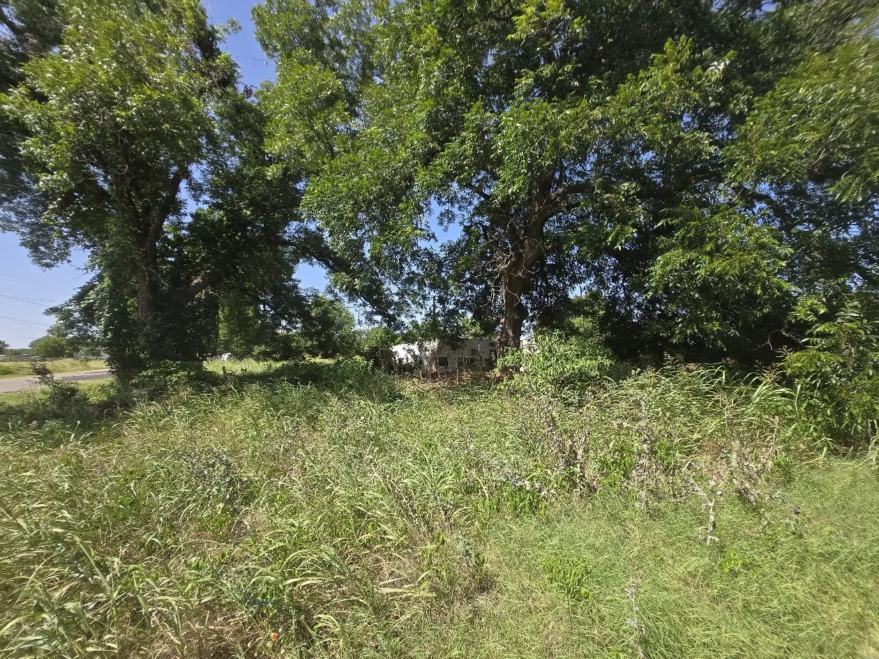Mature trees providing natural shade and a large grassy area