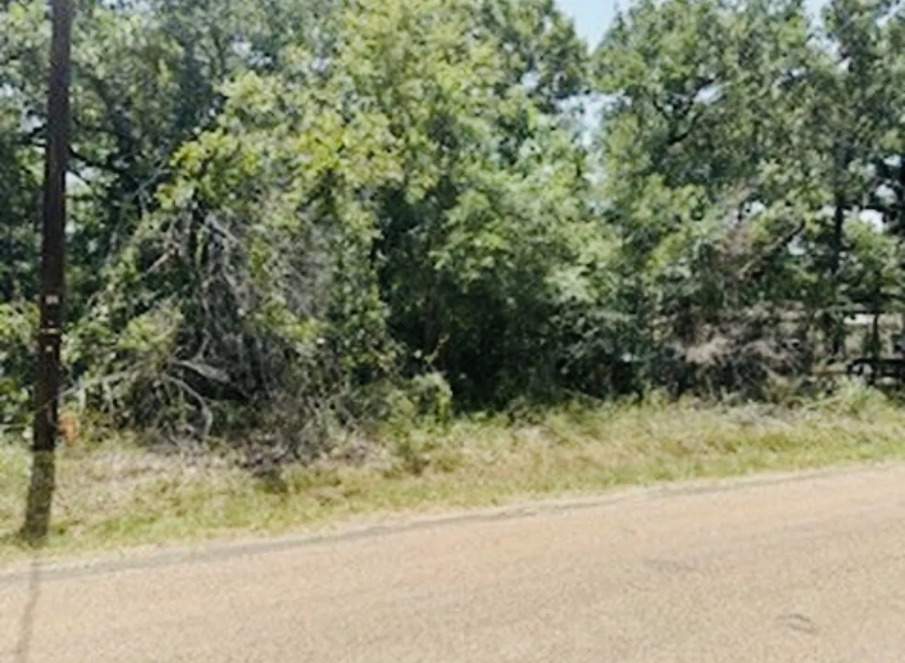Unimproved Land For Sale in Henderson County , 0 Albany Drive, Mabank, Texas 75156, 0, 0, Garage spaces, 0 Sqft, built in 0, Price $45,000, mls#21323297, Real Estate Agent in Mabank, Homes For Sale in Henderson county, Homes For Sale in Mabank, Realtor in Mabank Texas, Real Estate Brokerage Independent Realty Texas, Luminita Cordes Realtor