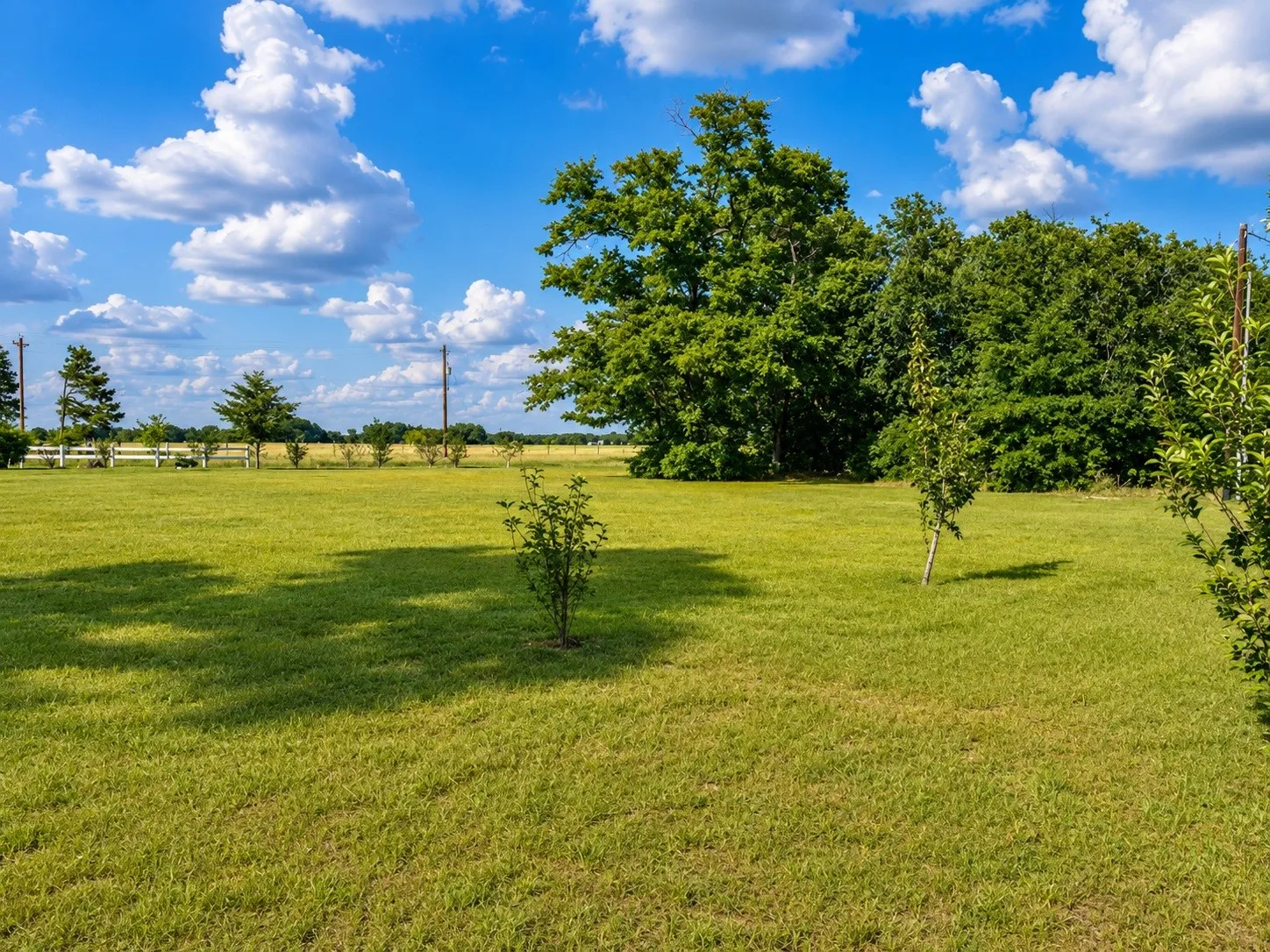 Single Family Residence For Sale in Smith County , 10038 County Road 313, Tyler, Texas 75706, 3 Bedroom, 2 Bathroom, Garage spaces, 1,664 Sqft, built in 1983, mls#21323345, Real Estate Agent in Tyler, Homes For Sale in Smith county, Homes For Sale in Tyler, Realtor in Tyler Texas, Real Estate Brokerage Independent Realty Texas, Luminita Cordes Realtor