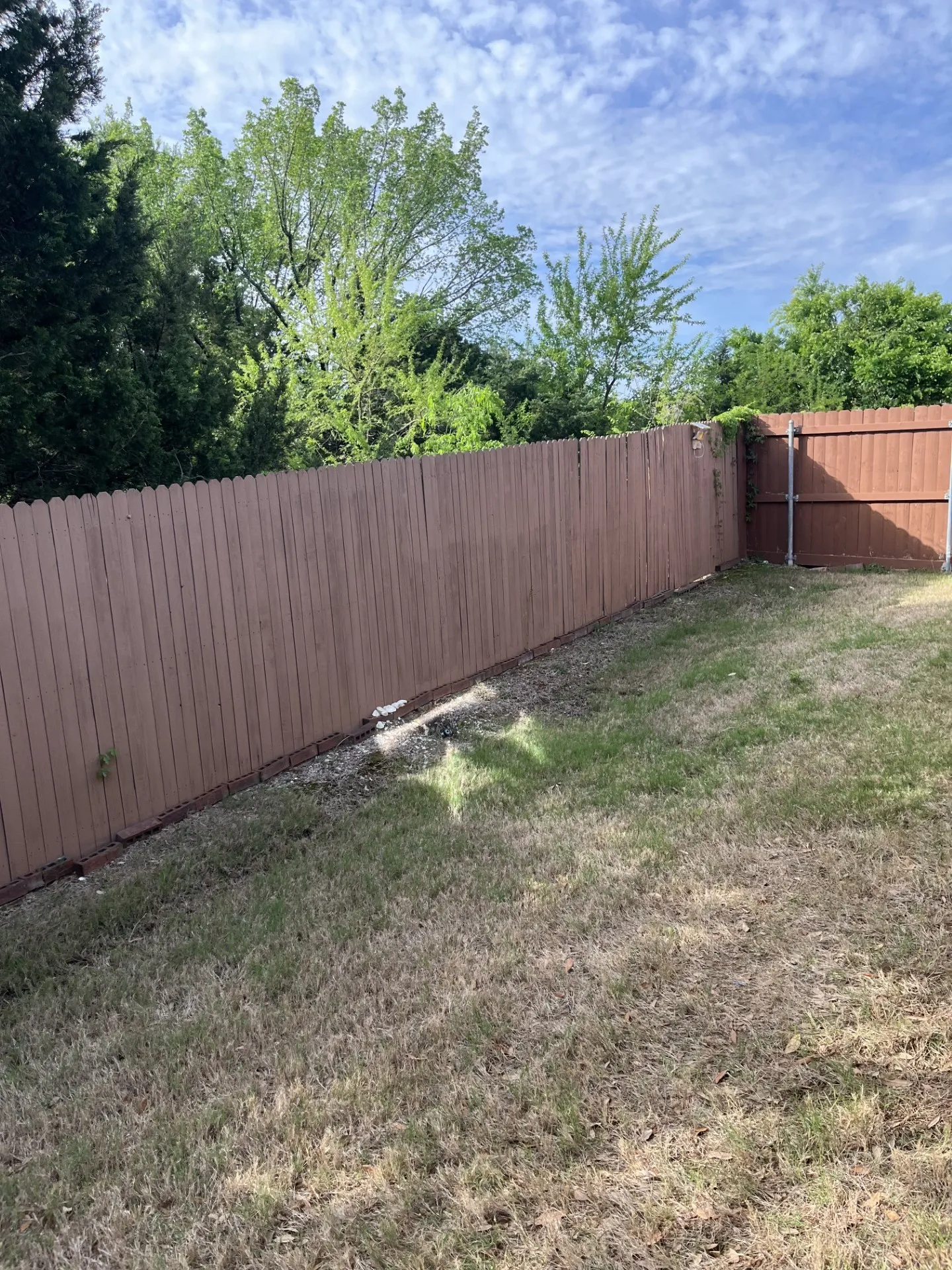 Back yard.