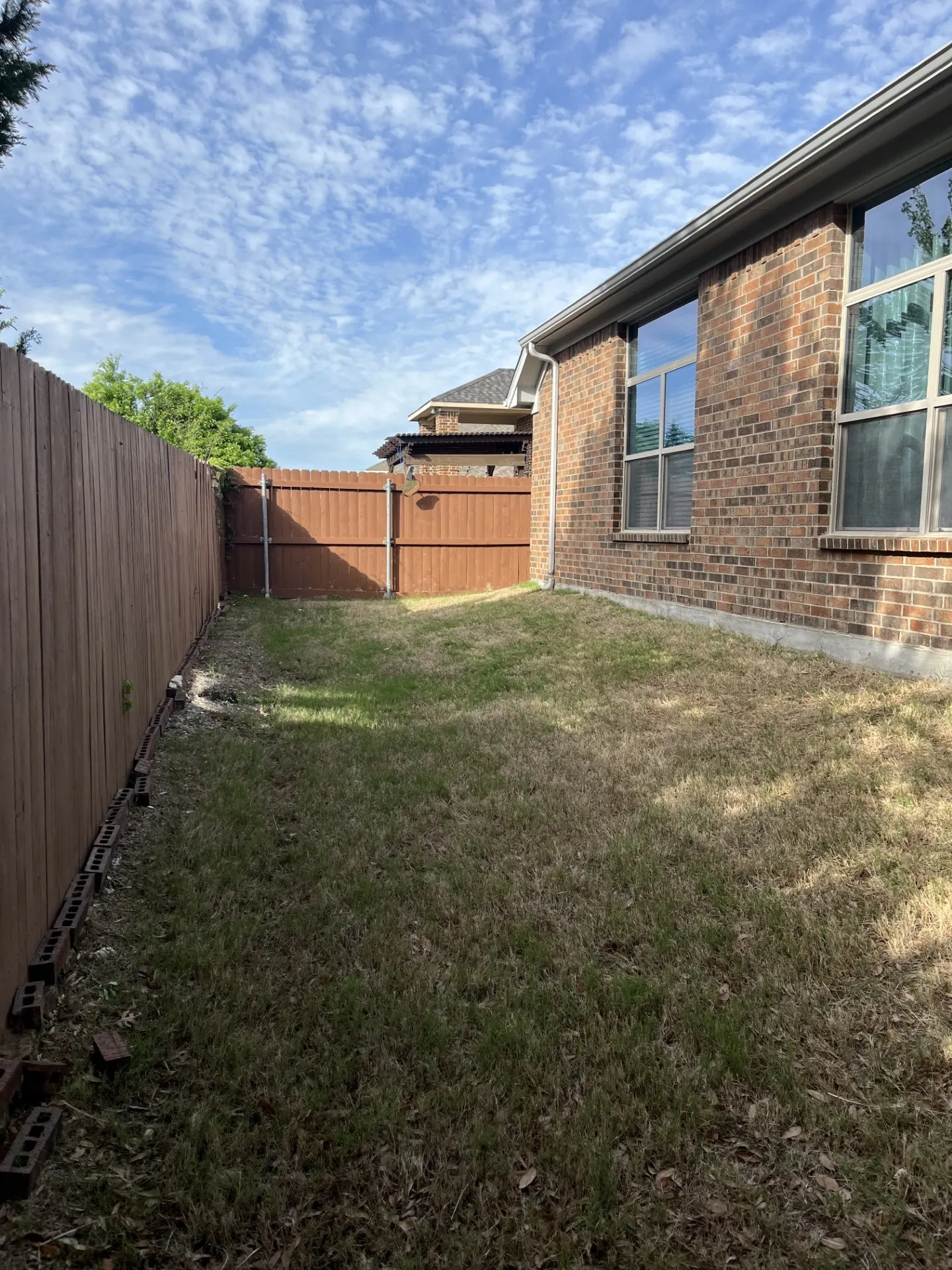 Back yard.