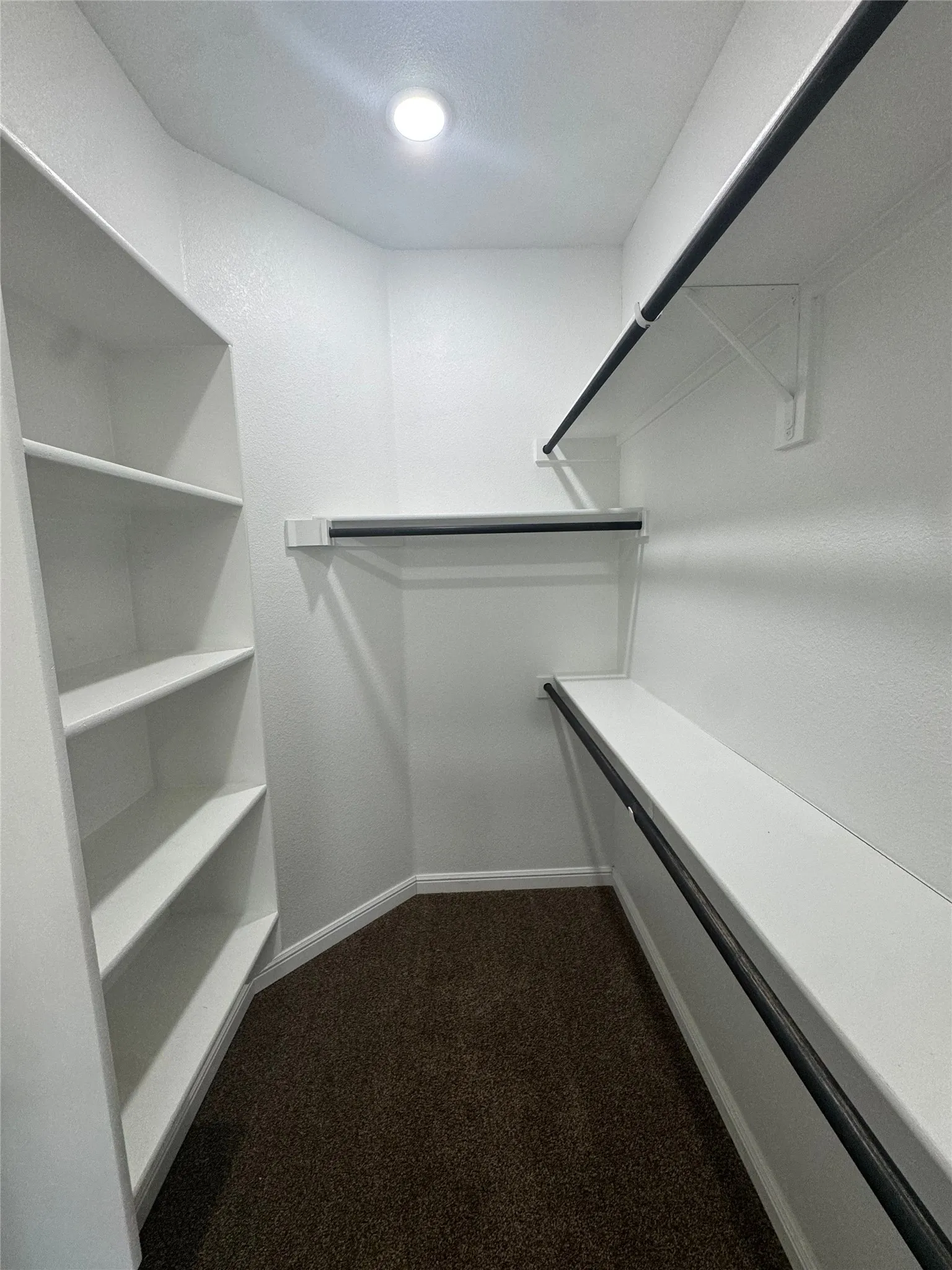Recessed ceiling lighting, built-in shelving, two clothing rods, and a carpeted floor