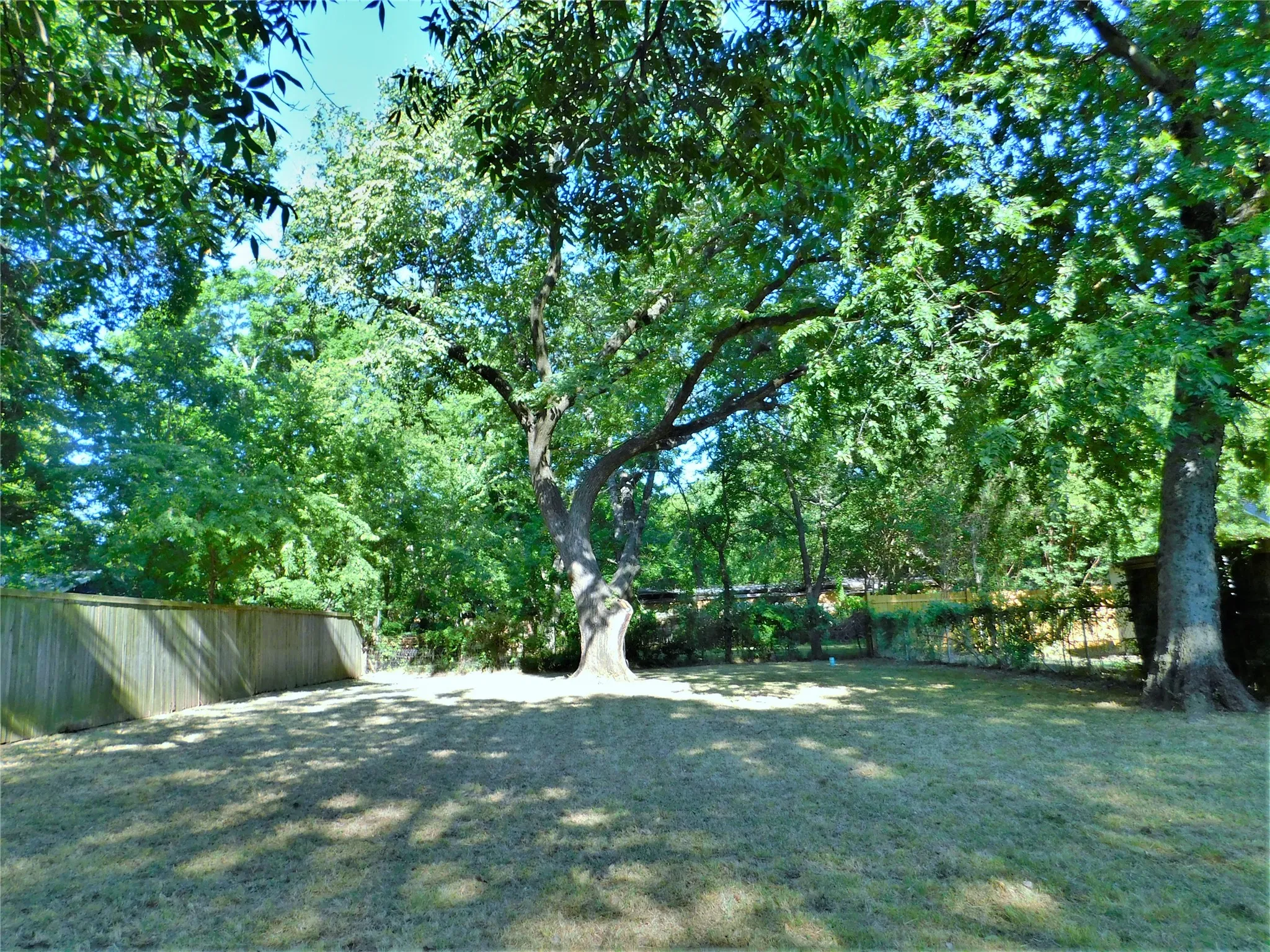 Single Family Residence For Rent in Denton County , 1014 Peak Street, Denton, Texas 76201, 2 Bedroom, 1 Bathroom, Garage spaces, 768 Sqft, built in 1930, mls#21304025, Real Estate Agent in Denton, Homes For Rent in Denton county, Homes For Rent in Denton, Realtor in Denton Texas, Real Estate Brokerage Independent Realty Texas, Luminita Cordes Realtor