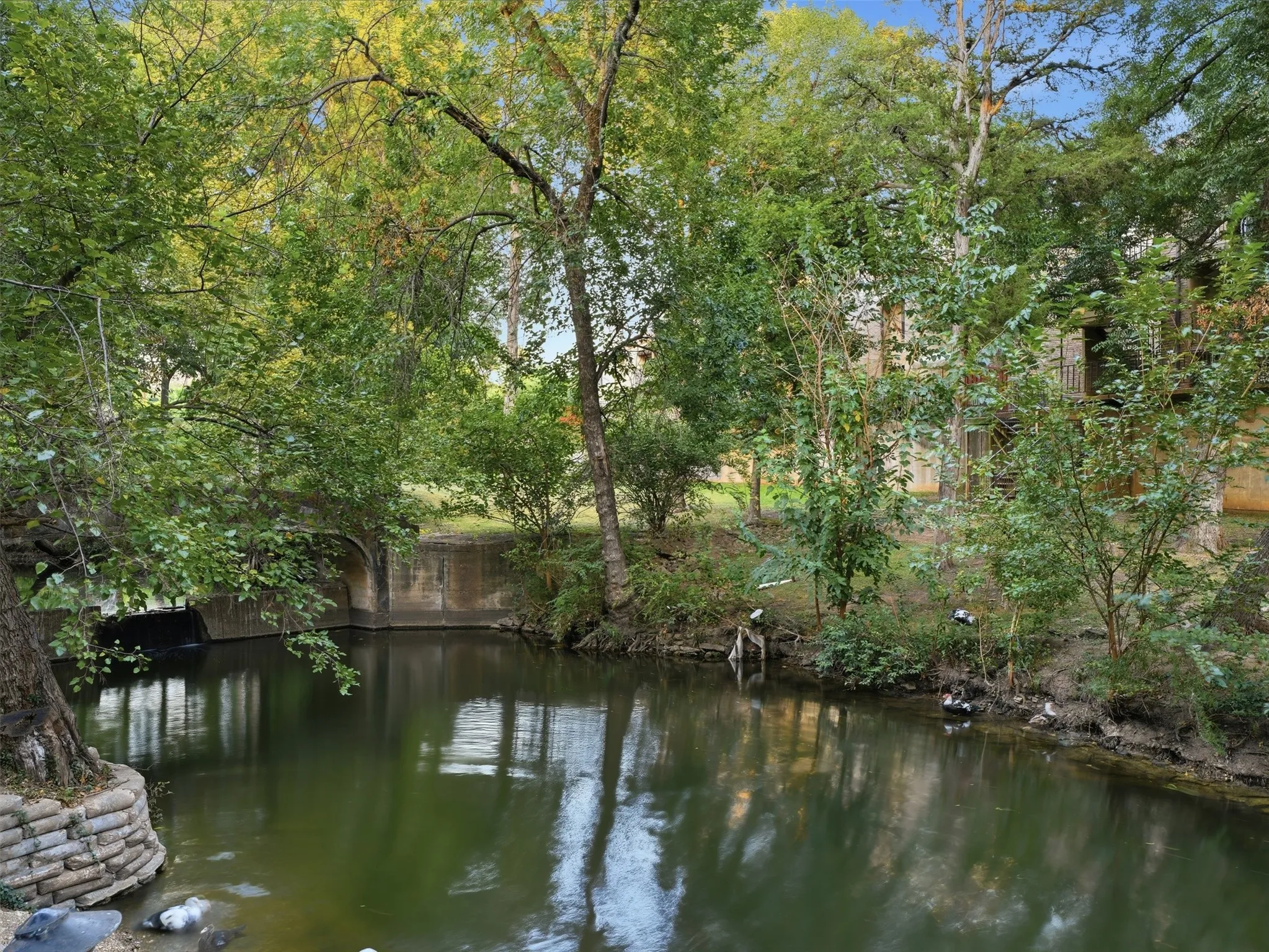 Condominium For Sale in Dallas County , 4851 Cedar Springs Road 392, Dallas, Texas 75219, 2 Bedroom, 1 Bathroom, 2 Garage spaces, 841 Sqft, built in 1970, mls#21323411, Real Estate Agent in Dallas, Homes For Sale in Dallas county, Homes For Sale in Dallas, Realtor in Dallas Texas, Real Estate Brokerage Independent Realty Texas, Luminita Cordes Realtor
