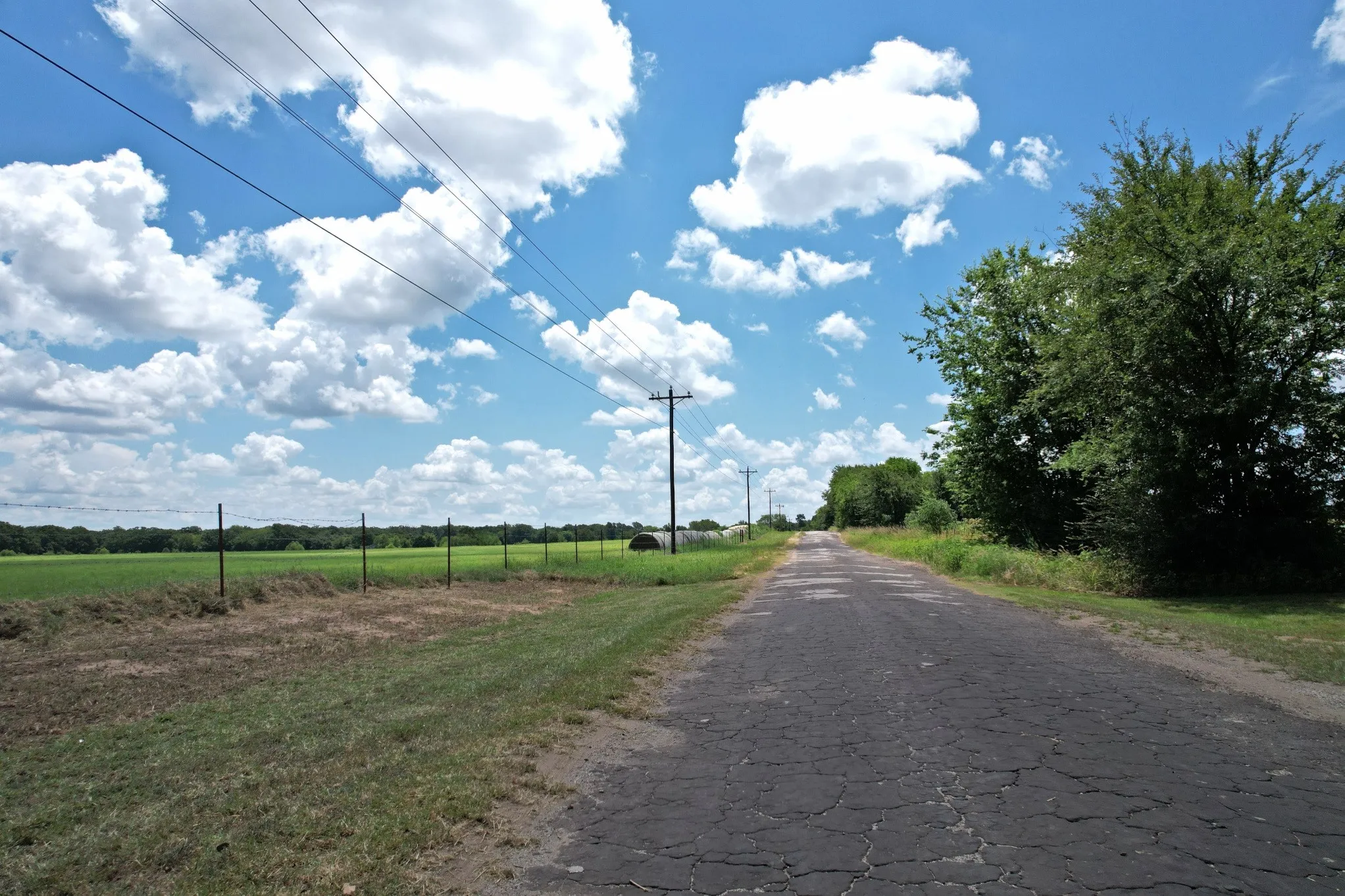 Unimproved Land For Sale in Van Zandt County , Lot 5 VZ County Road 3208, Wills Point, Texas 75169, 0, 0, Garage spaces, 0 Sqft, built in 0, mls#21323476, Real Estate Agent in Wills Point, Homes For Sale in Van Zandt county, Homes For Sale in Wills Point, Realtor in Wills Point Texas, Real Estate Brokerage Independent Realty Texas, Luminita Cordes Realtor