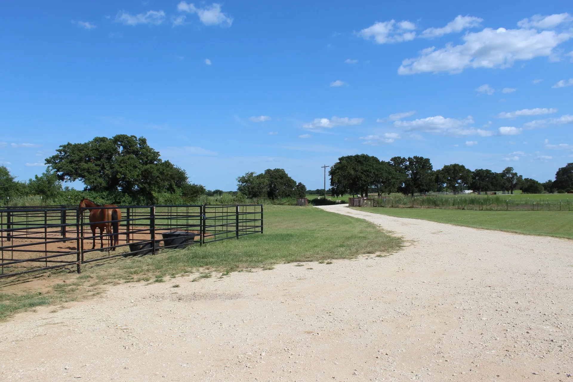 Stalls and second driveway to house