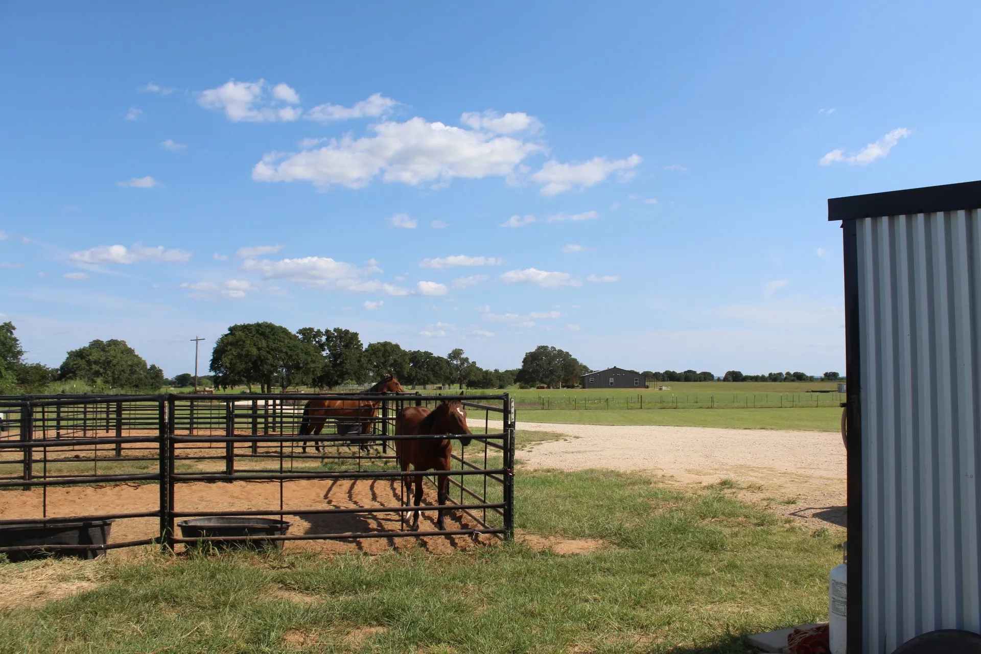 Stalls for Horses