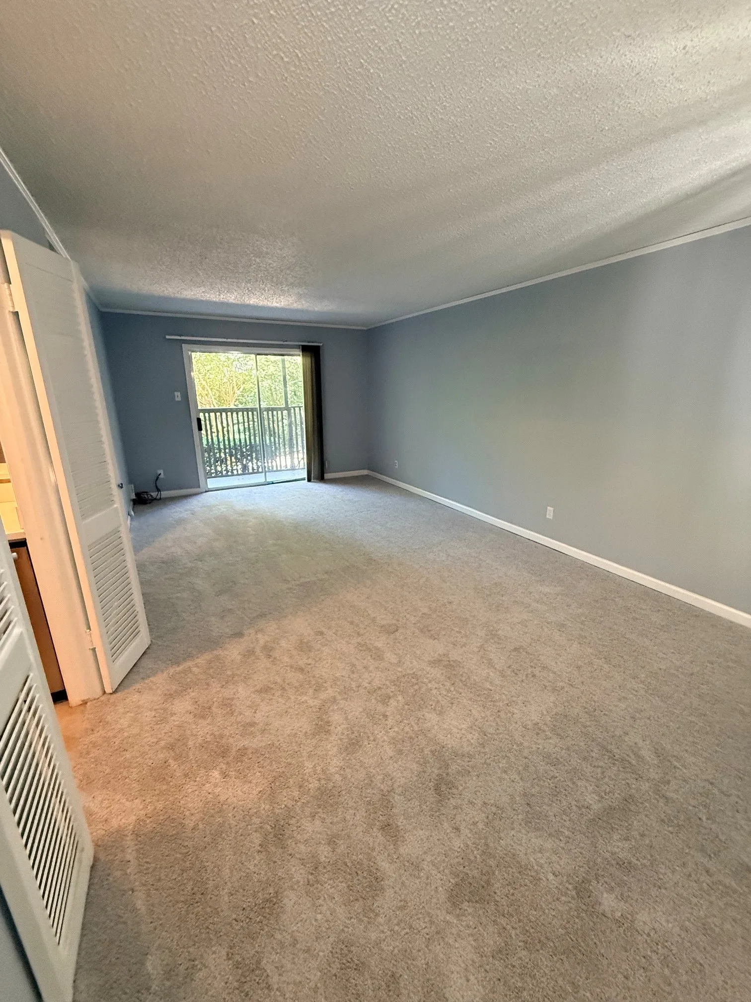 Spacious interior room featuring plush carpet flooring, light blue wall finishes, and white baseboards