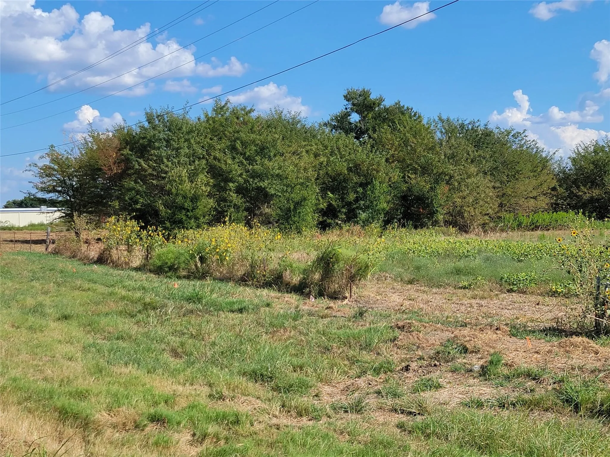 Unimproved Land For Sale in Cooke County , 000 HWY 82, Lindsay, Texas 76250, 0, 0, Garage spaces, 0 Sqft, built in 0, mls#21323537, Real Estate Agent in Lindsay, Homes For Sale in Cooke county, Homes For Sale in Lindsay, Realtor in Lindsay Texas, Real Estate Brokerage Independent Realty Texas, Luminita Cordes Realtor