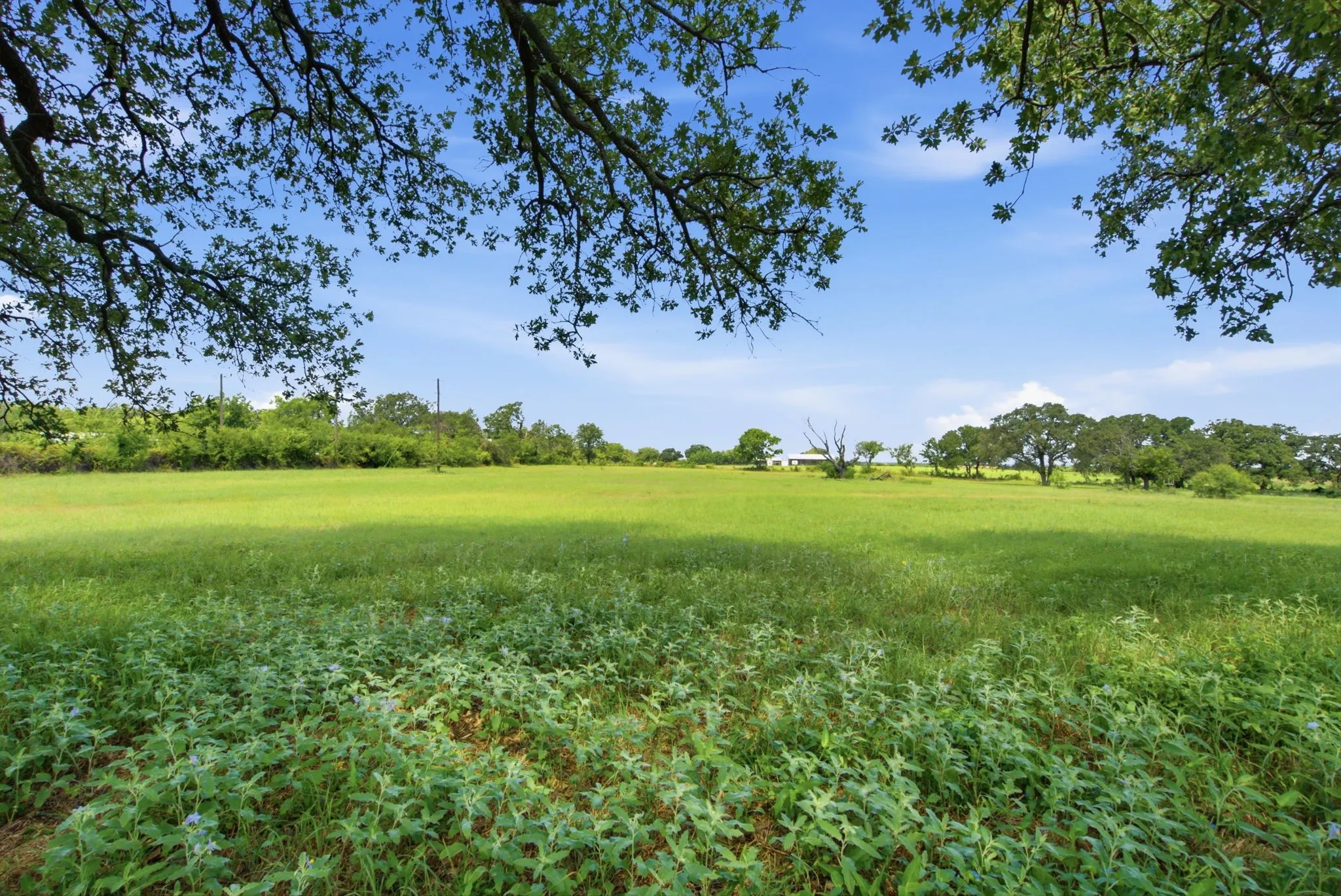 Single Family Residence For Sale in Comanche County , 270 County Road 425, De Leon, Texas 76444, 5 Bedroom, 3 Bathroom, Garage spaces, 2,348 Sqft, built in 1930, mls#21323408, Real Estate Agent in De Leon, Homes For Sale in Comanche county, Homes For Sale in De Leon, Realtor in De Leon Texas, Real Estate Brokerage Independent Realty Texas, Luminita Cordes Realtor