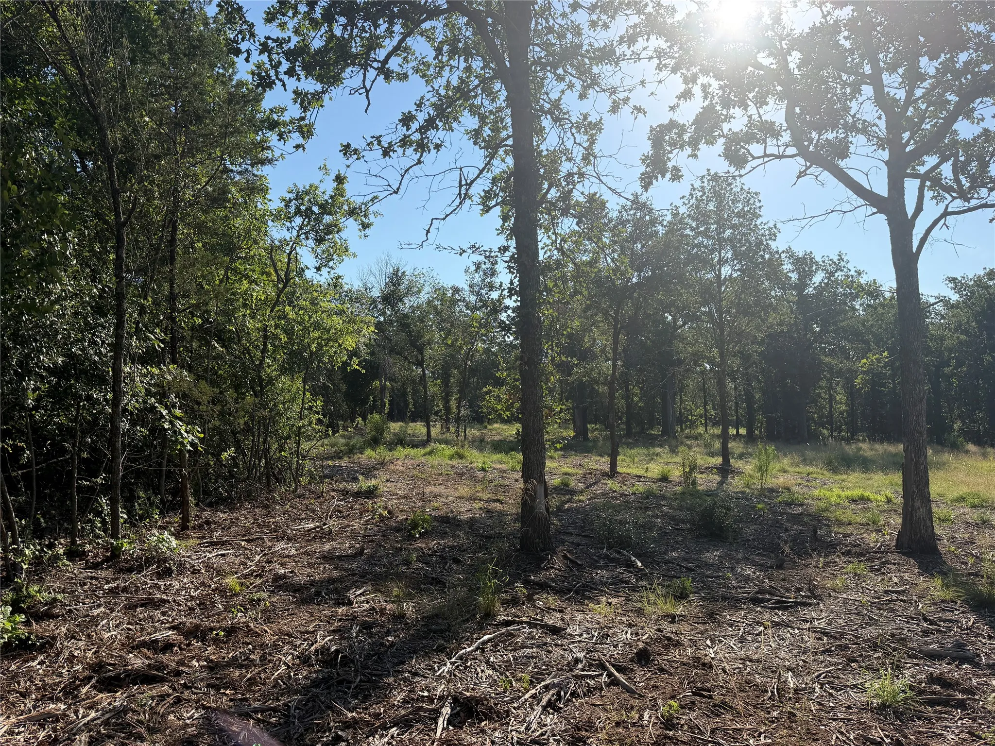 Ranch For Sale in Bosque County , tbd Fm 56, Morgan, Texas 76671, 0, 0, Garage spaces, 0 Sqft, built in 0, Price $139,500, mls#21323564, Real Estate Agent in Morgan, Homes For Sale in Bosque county, Homes For Sale in Morgan, Realtor in Morgan Texas, Real Estate Brokerage Independent Realty Texas, Luminita Cordes Realtor