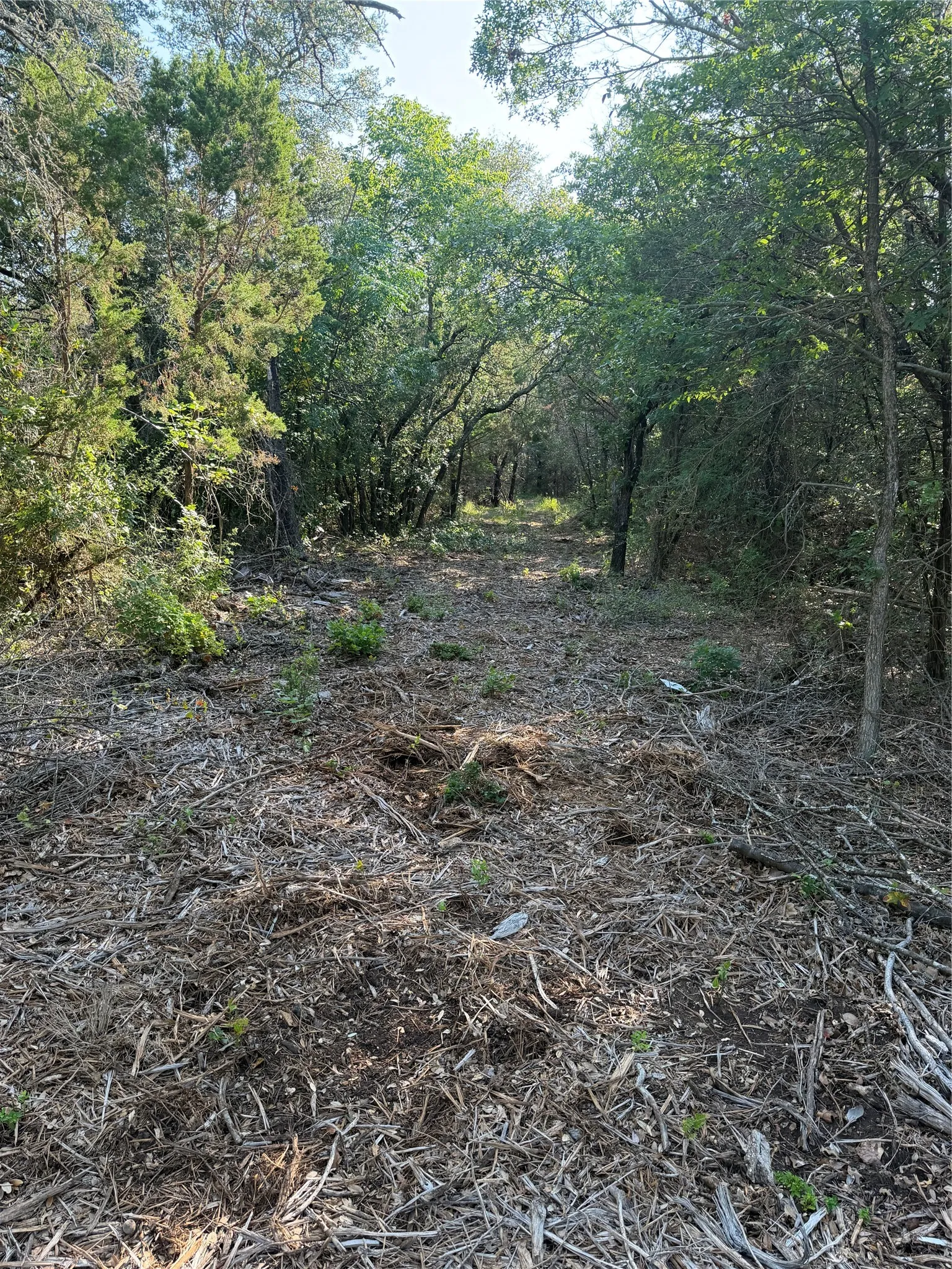 Ranch For Sale in Bosque County , tbd Fm 56, Morgan, Texas 76671, 0, 0, Garage spaces, 0 Sqft, built in 0, Price $139,500, mls#21323564, Real Estate Agent in Morgan, Homes For Sale in Bosque county, Homes For Sale in Morgan, Realtor in Morgan Texas, Real Estate Brokerage Independent Realty Texas, Luminita Cordes Realtor