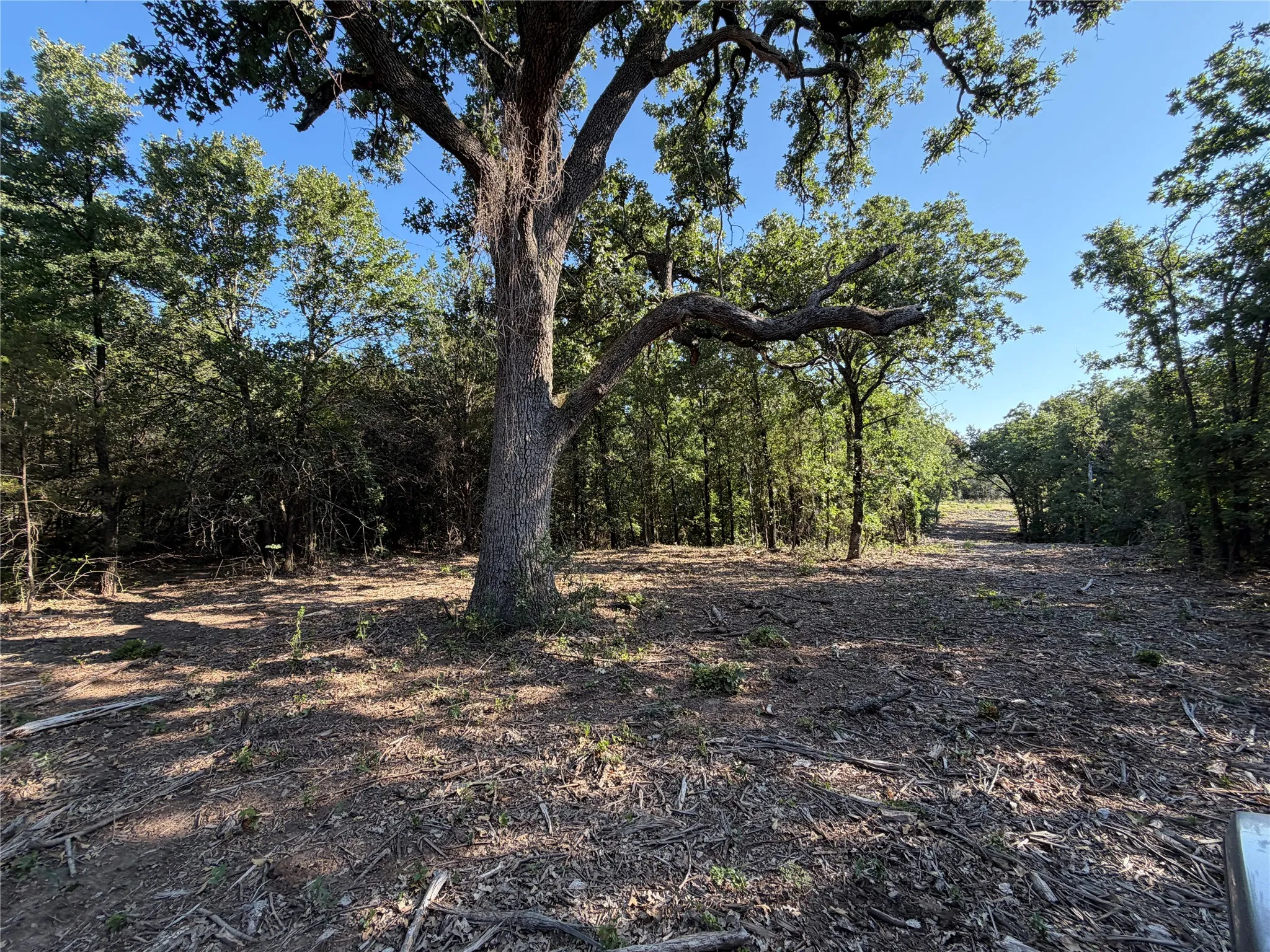 Ranch For Sale in Bosque County , tbd Fm 56, Morgan, Texas 76671, 0, 0, Garage spaces, 0 Sqft, built in 0, Price $139,500, mls#21323564, Real Estate Agent in Morgan, Homes For Sale in Bosque county, Homes For Sale in Morgan, Realtor in Morgan Texas, Real Estate Brokerage Independent Realty Texas, Luminita Cordes Realtor