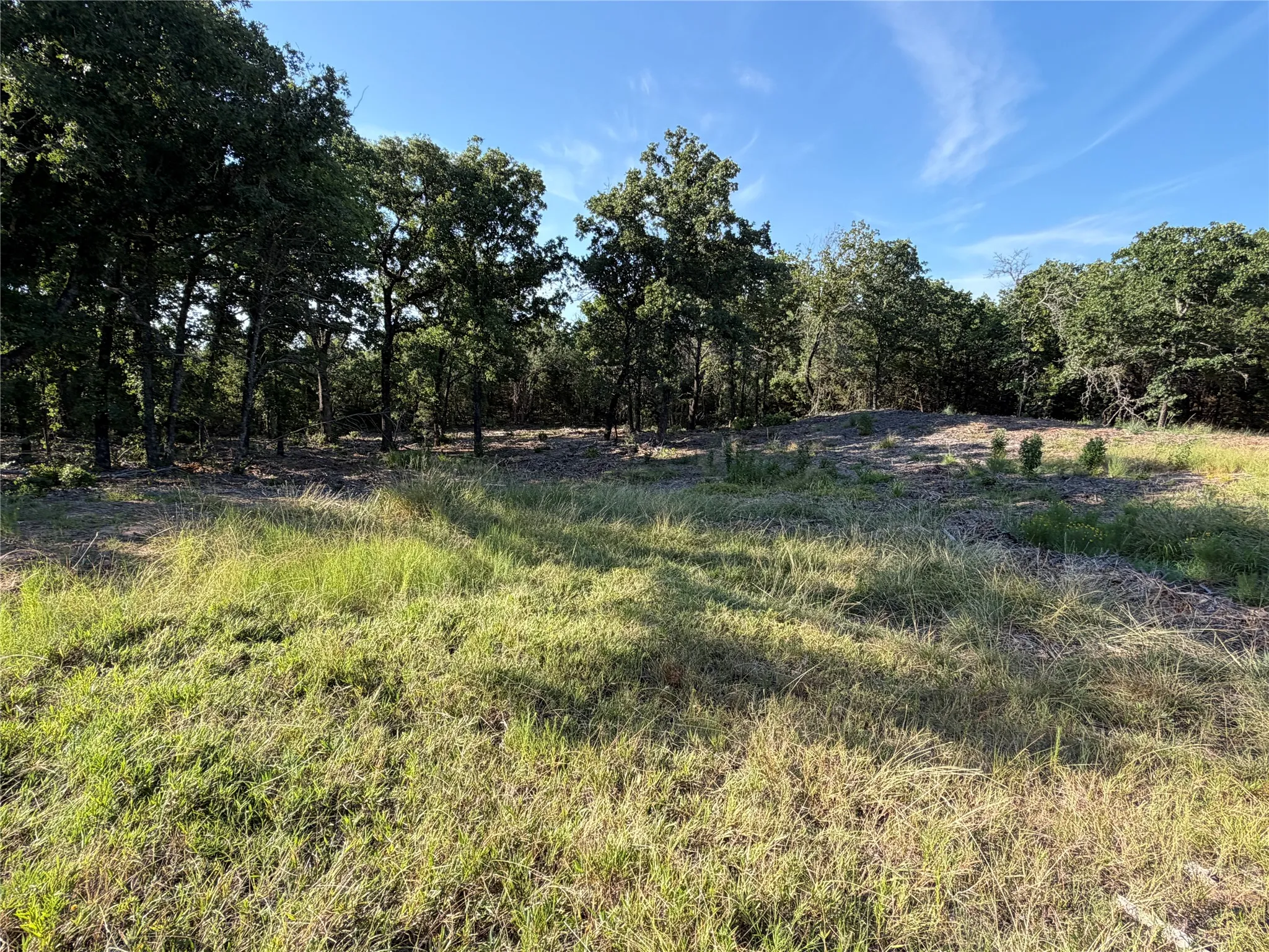 Ranch For Sale in Bosque County , tbd Fm 56, Morgan, Texas 76671, 0, 0, Garage spaces, 0 Sqft, built in 0, Price $139,500, mls#21323564, Real Estate Agent in Morgan, Homes For Sale in Bosque county, Homes For Sale in Morgan, Realtor in Morgan Texas, Real Estate Brokerage Independent Realty Texas, Luminita Cordes Realtor