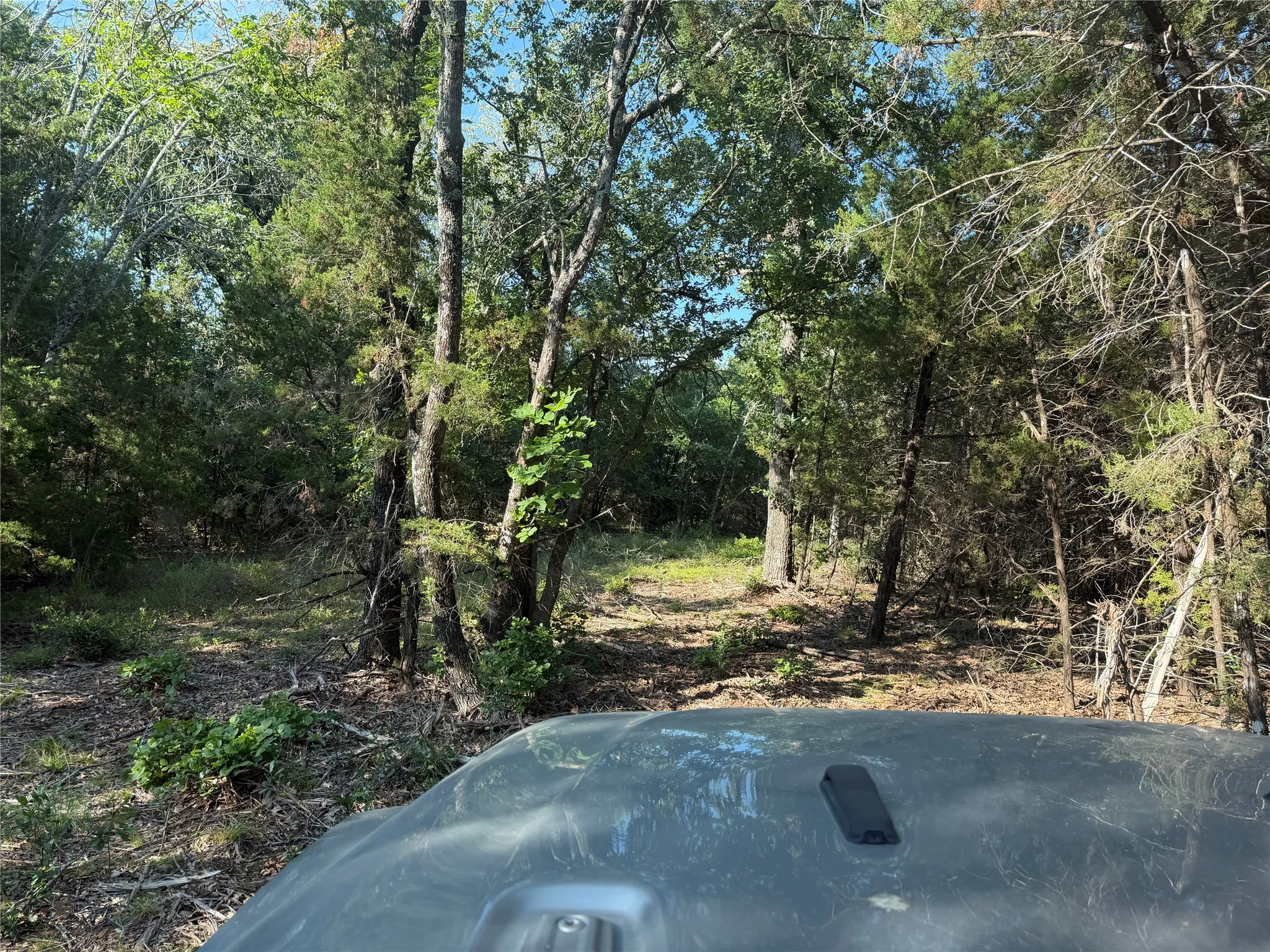 Ranch For Sale in Bosque County , tbd Fm 56, Morgan, Texas 76671, 0, 0, Garage spaces, 0 Sqft, built in 0, Price $139,500, mls#21323564, Real Estate Agent in Morgan, Homes For Sale in Bosque county, Homes For Sale in Morgan, Realtor in Morgan Texas, Real Estate Brokerage Independent Realty Texas, Luminita Cordes Realtor