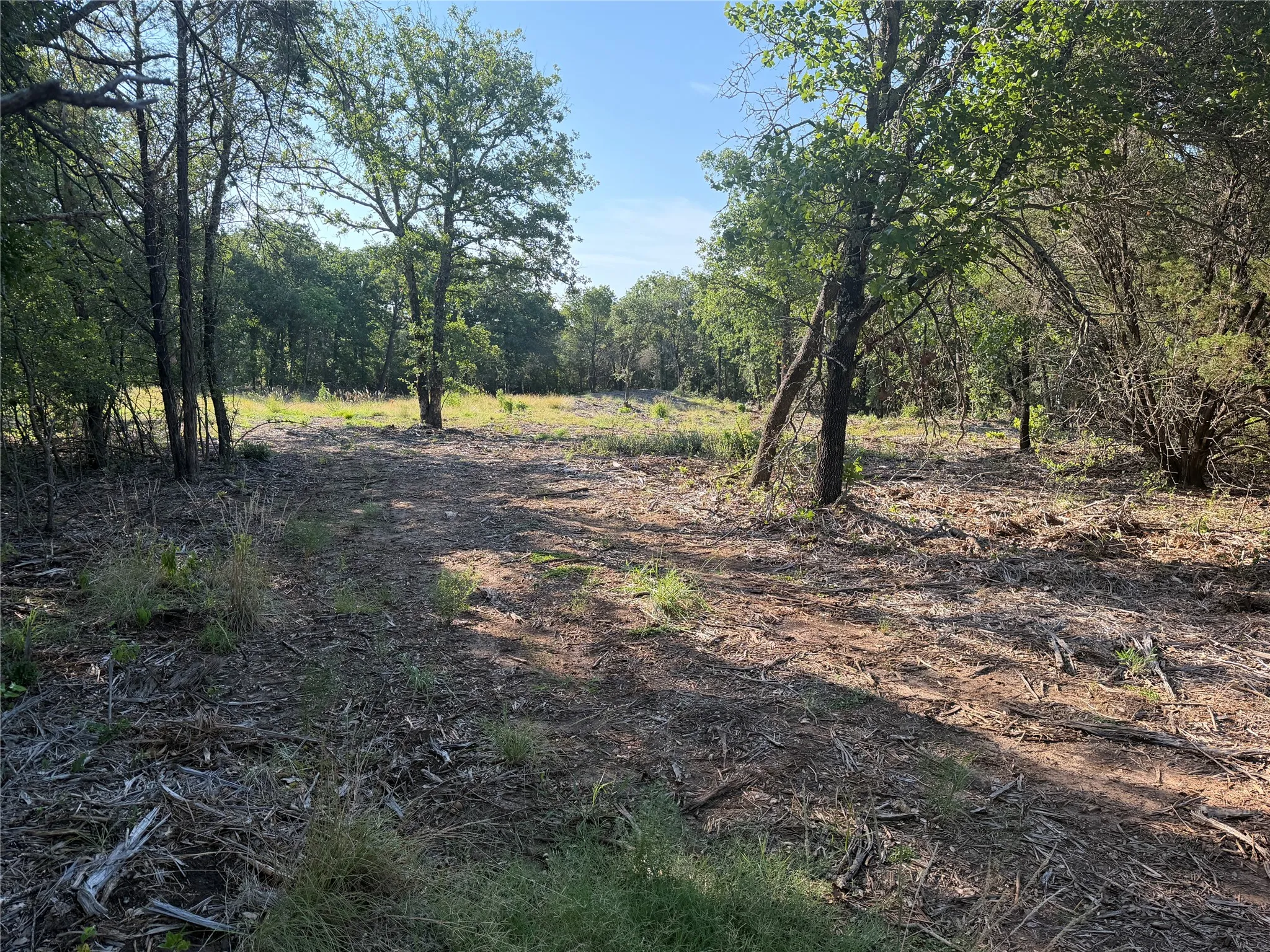 Ranch For Sale in Bosque County , tbd Fm 56, Morgan, Texas 76671, 0, 0, Garage spaces, 0 Sqft, built in 0, Price $139,500, mls#21323564, Real Estate Agent in Morgan, Homes For Sale in Bosque county, Homes For Sale in Morgan, Realtor in Morgan Texas, Real Estate Brokerage Independent Realty Texas, Luminita Cordes Realtor