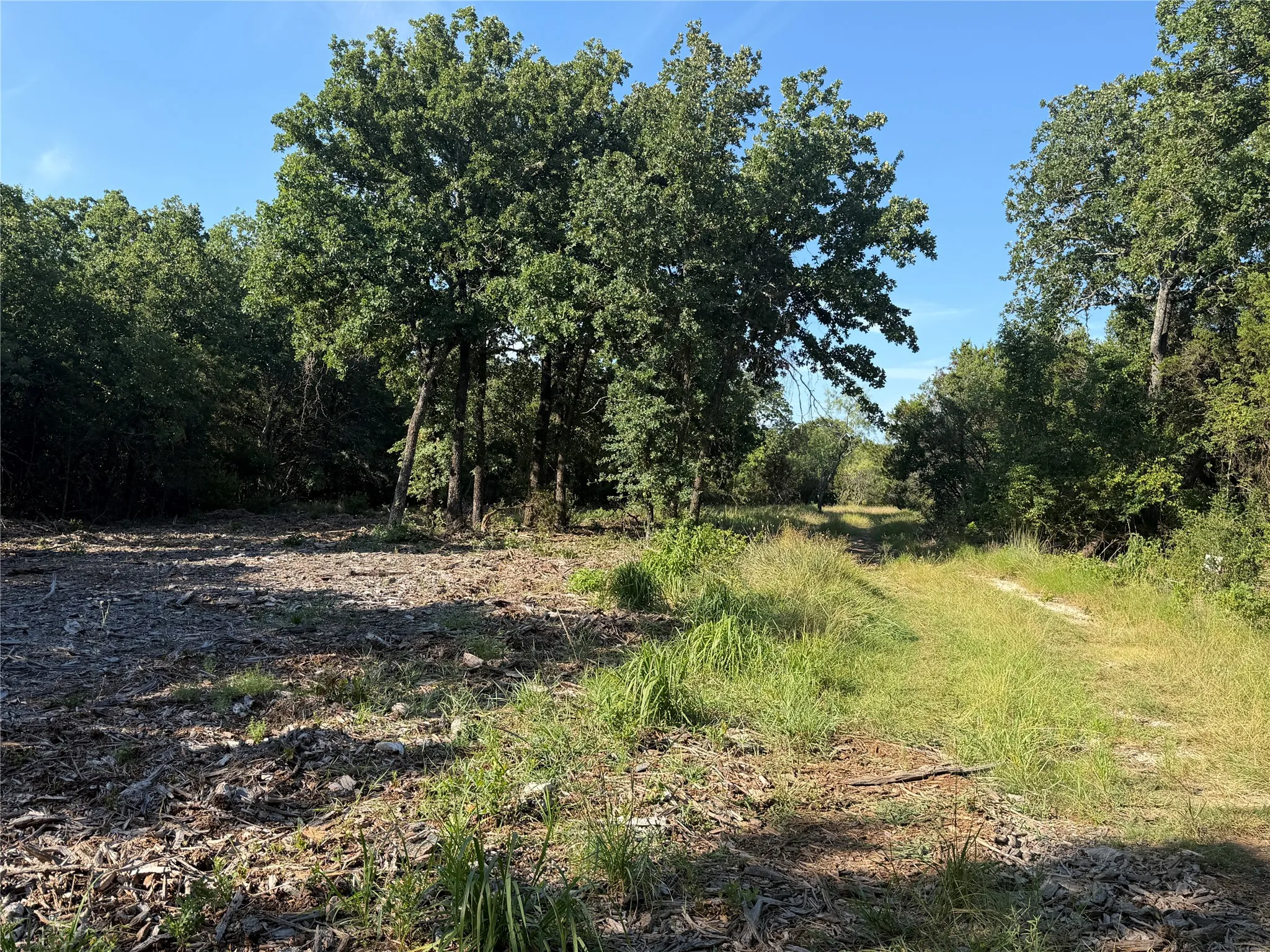 Ranch For Sale in Bosque County , tbd Fm 56, Morgan, Texas 76671, 0, 0, Garage spaces, 0 Sqft, built in 0, Price $139,500, mls#21323564, Real Estate Agent in Morgan, Homes For Sale in Bosque county, Homes For Sale in Morgan, Realtor in Morgan Texas, Real Estate Brokerage Independent Realty Texas, Luminita Cordes Realtor