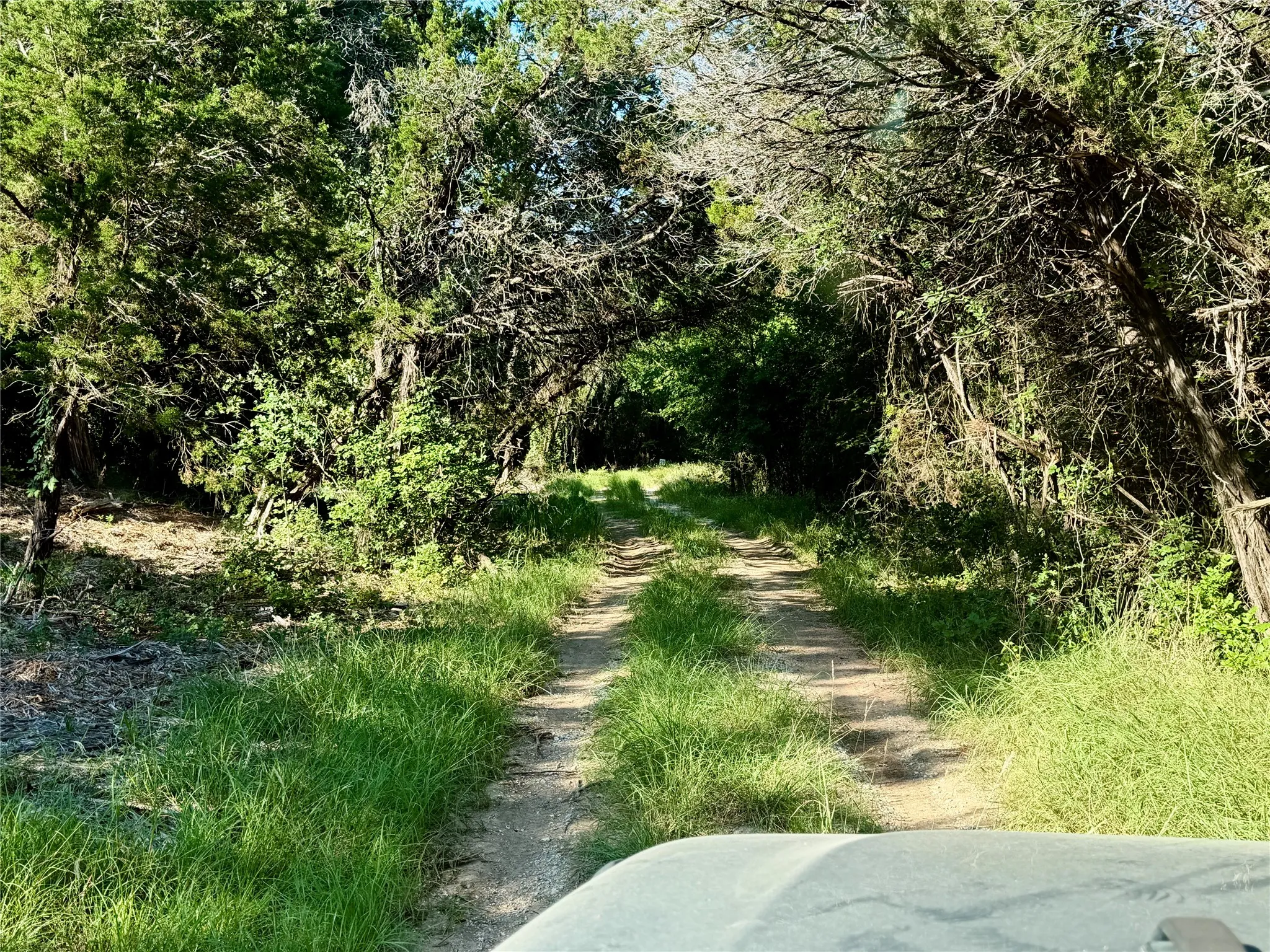 Ranch For Sale in Bosque County , tbd Fm 56, Morgan, Texas 76671, 0, 0, Garage spaces, 0 Sqft, built in 0, Price $139,500, mls#21323564, Real Estate Agent in Morgan, Homes For Sale in Bosque county, Homes For Sale in Morgan, Realtor in Morgan Texas, Real Estate Brokerage Independent Realty Texas, Luminita Cordes Realtor