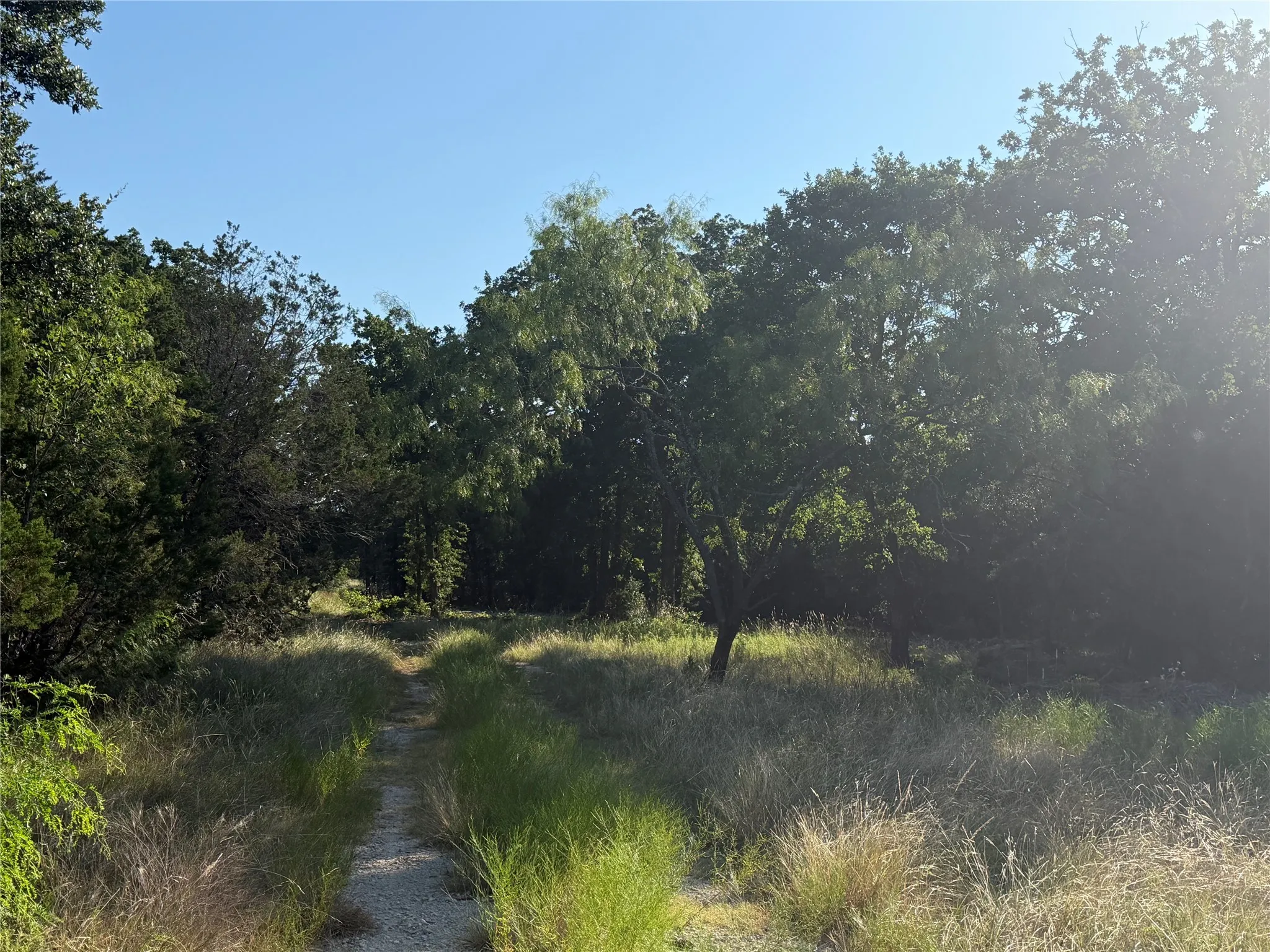 Ranch For Sale in Bosque County , tbd Fm 56, Morgan, Texas 76671, 0, 0, Garage spaces, 0 Sqft, built in 0, Price $139,500, mls#21323564, Real Estate Agent in Morgan, Homes For Sale in Bosque county, Homes For Sale in Morgan, Realtor in Morgan Texas, Real Estate Brokerage Independent Realty Texas, Luminita Cordes Realtor