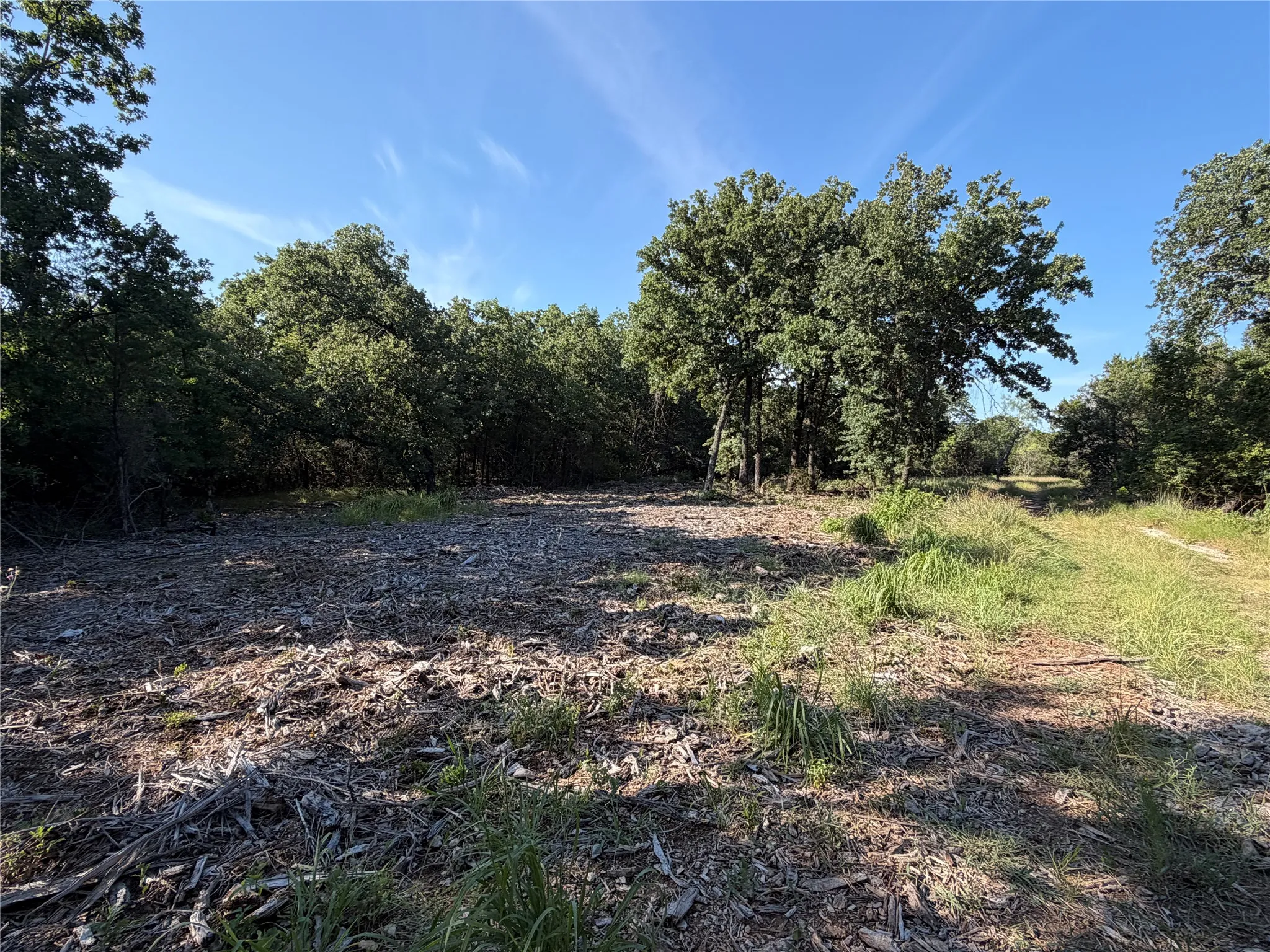 Ranch For Sale in Bosque County , tbd Fm 56, Morgan, Texas 76671, 0, 0, Garage spaces, 0 Sqft, built in 0, Price $139,500, mls#21323564, Real Estate Agent in Morgan, Homes For Sale in Bosque county, Homes For Sale in Morgan, Realtor in Morgan Texas, Real Estate Brokerage Independent Realty Texas, Luminita Cordes Realtor