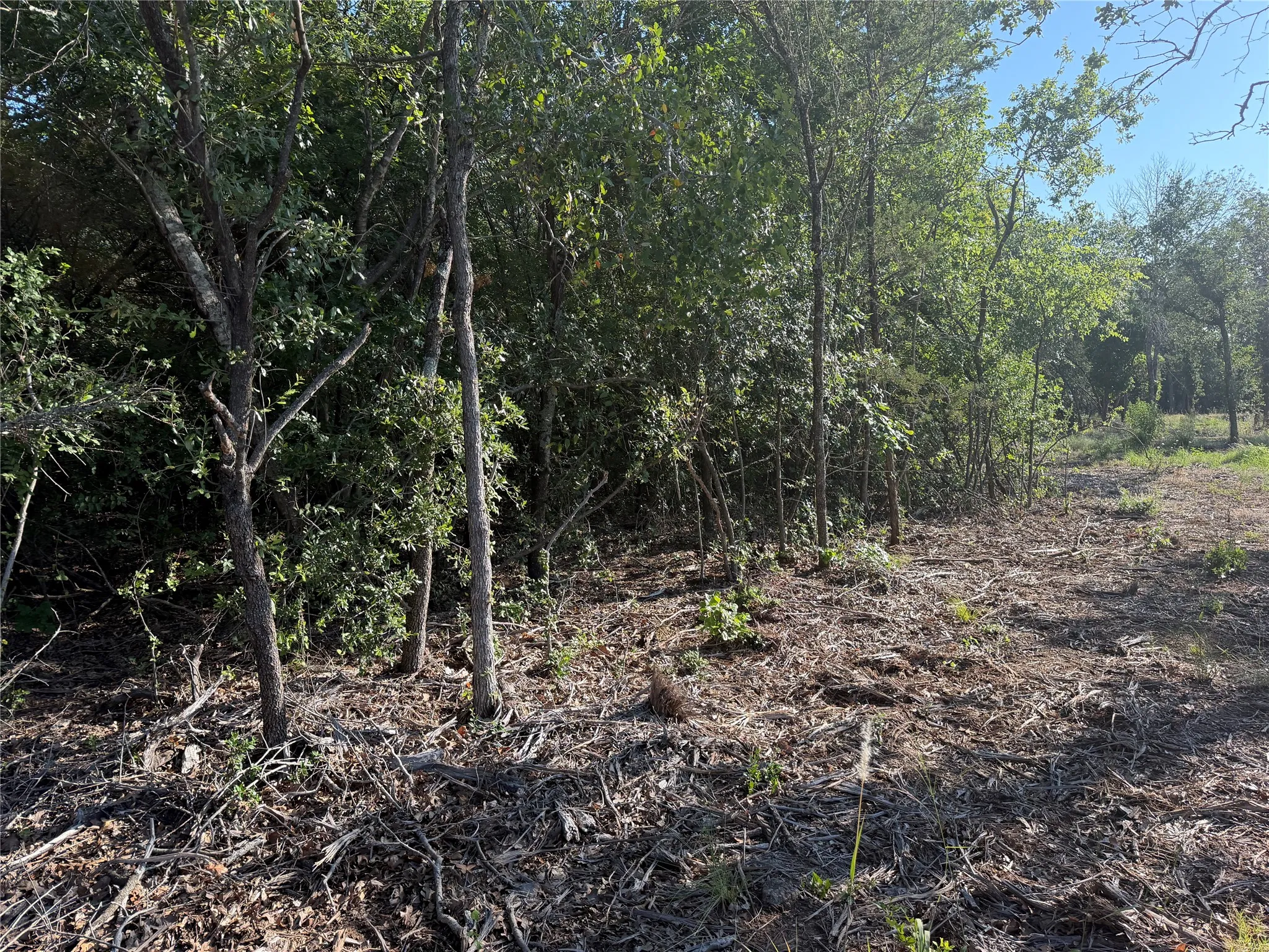 Ranch For Sale in Bosque County , tbd Fm 56, Morgan, Texas 76671, 0, 0, Garage spaces, 0 Sqft, built in 0, Price $139,500, mls#21323564, Real Estate Agent in Morgan, Homes For Sale in Bosque county, Homes For Sale in Morgan, Realtor in Morgan Texas, Real Estate Brokerage Independent Realty Texas, Luminita Cordes Realtor