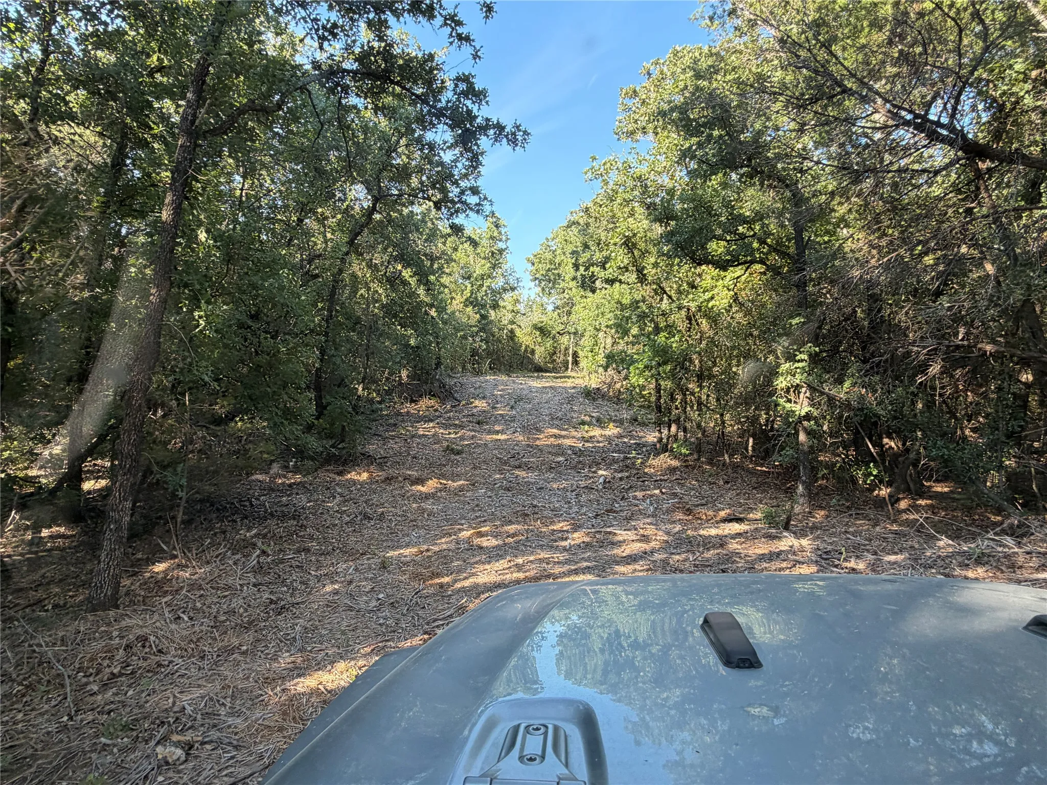 Ranch For Sale in Bosque County , tbd Fm 56, Morgan, Texas 76671, 0, 0, Garage spaces, 0 Sqft, built in 0, Price $139,500, mls#21323564, Real Estate Agent in Morgan, Homes For Sale in Bosque county, Homes For Sale in Morgan, Realtor in Morgan Texas, Real Estate Brokerage Independent Realty Texas, Luminita Cordes Realtor