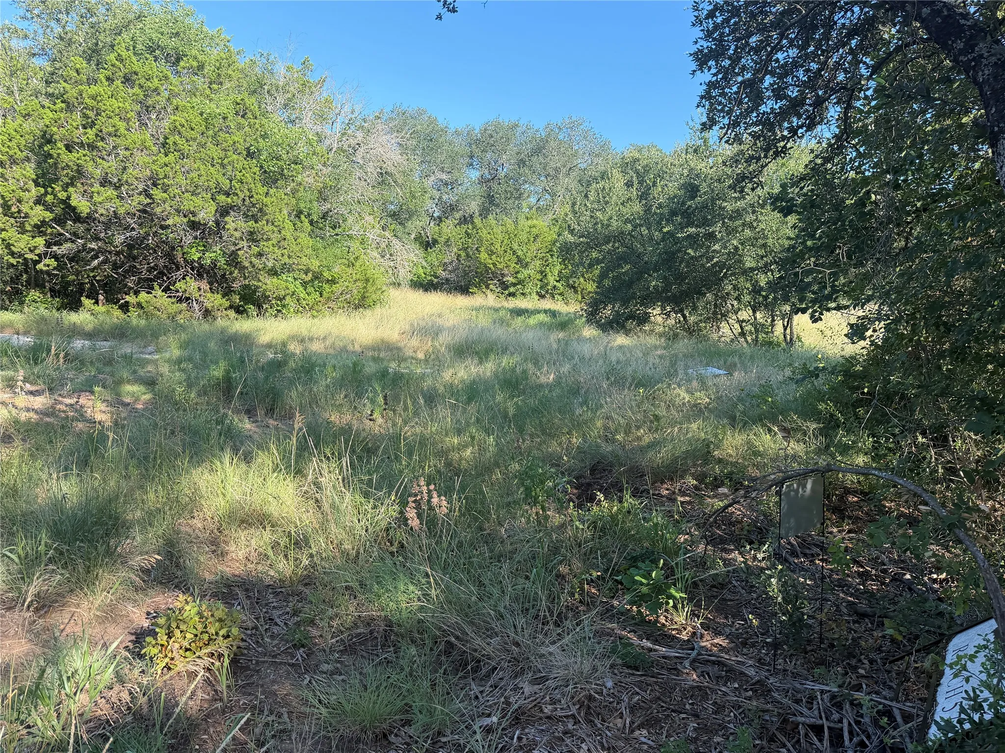 Ranch For Sale in Bosque County , tbd Fm 56, Morgan, Texas 76671, 0, 0, Garage spaces, 0 Sqft, built in 0, Price $139,500, mls#21323564, Real Estate Agent in Morgan, Homes For Sale in Bosque county, Homes For Sale in Morgan, Realtor in Morgan Texas, Real Estate Brokerage Independent Realty Texas, Luminita Cordes Realtor