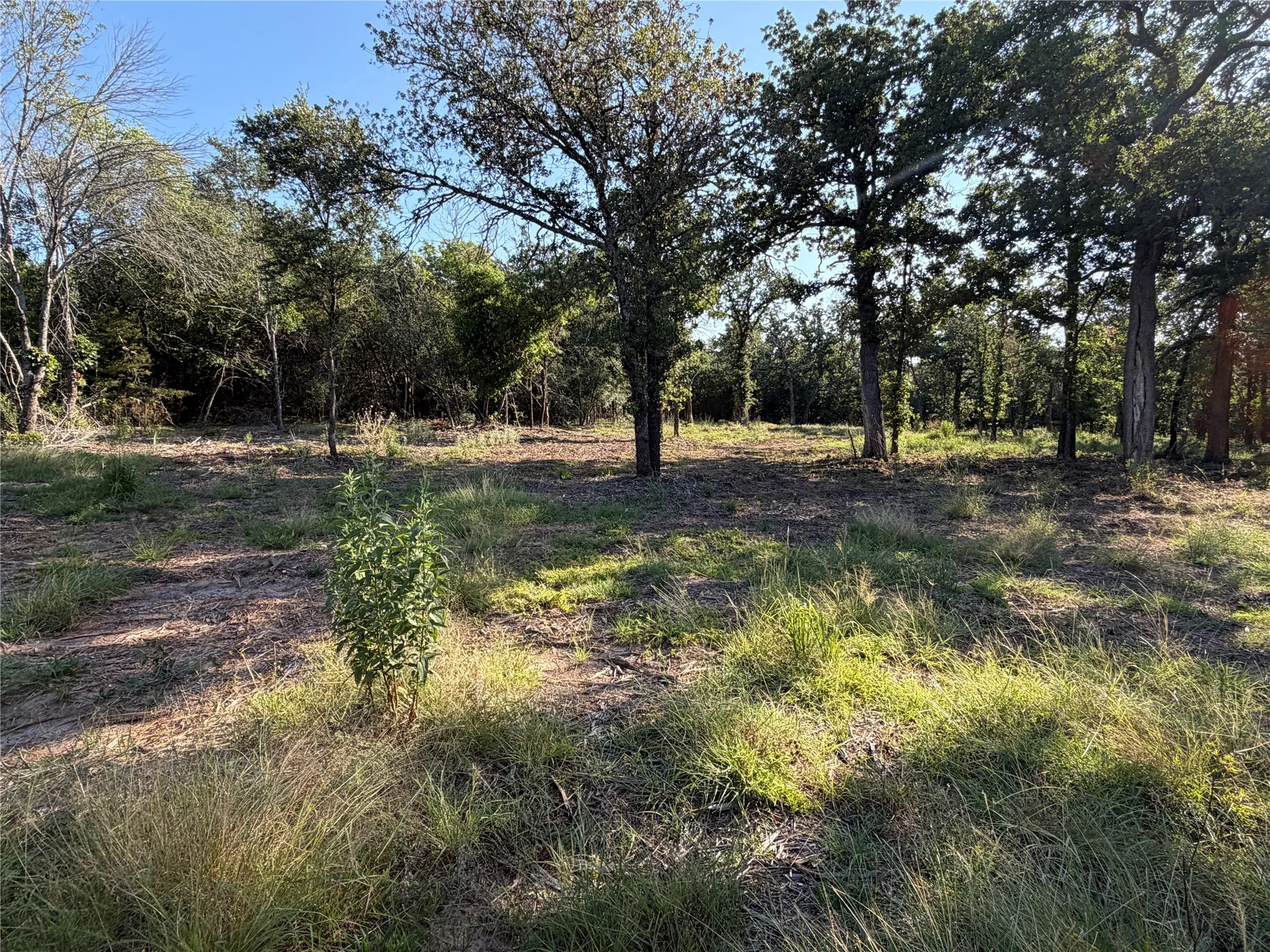 Ranch For Sale in Bosque County , tbd Fm 56, Morgan, Texas 76671, 0, 0, Garage spaces, 0 Sqft, built in 0, Price $139,500, mls#21323564, Real Estate Agent in Morgan, Homes For Sale in Bosque county, Homes For Sale in Morgan, Realtor in Morgan Texas, Real Estate Brokerage Independent Realty Texas, Luminita Cordes Realtor