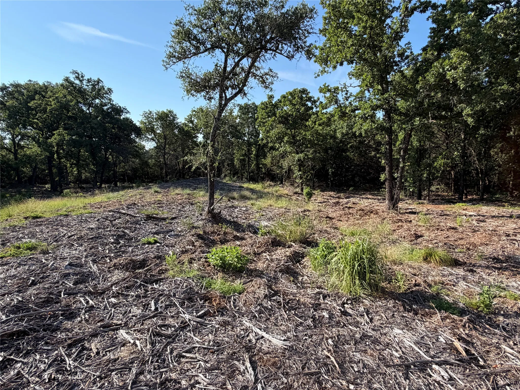 Ranch For Sale in Bosque County , tbd Fm 56, Morgan, Texas 76671, 0, 0, Garage spaces, 0 Sqft, built in 0, Price $139,500, mls#21323564, Real Estate Agent in Morgan, Homes For Sale in Bosque county, Homes For Sale in Morgan, Realtor in Morgan Texas, Real Estate Brokerage Independent Realty Texas, Luminita Cordes Realtor