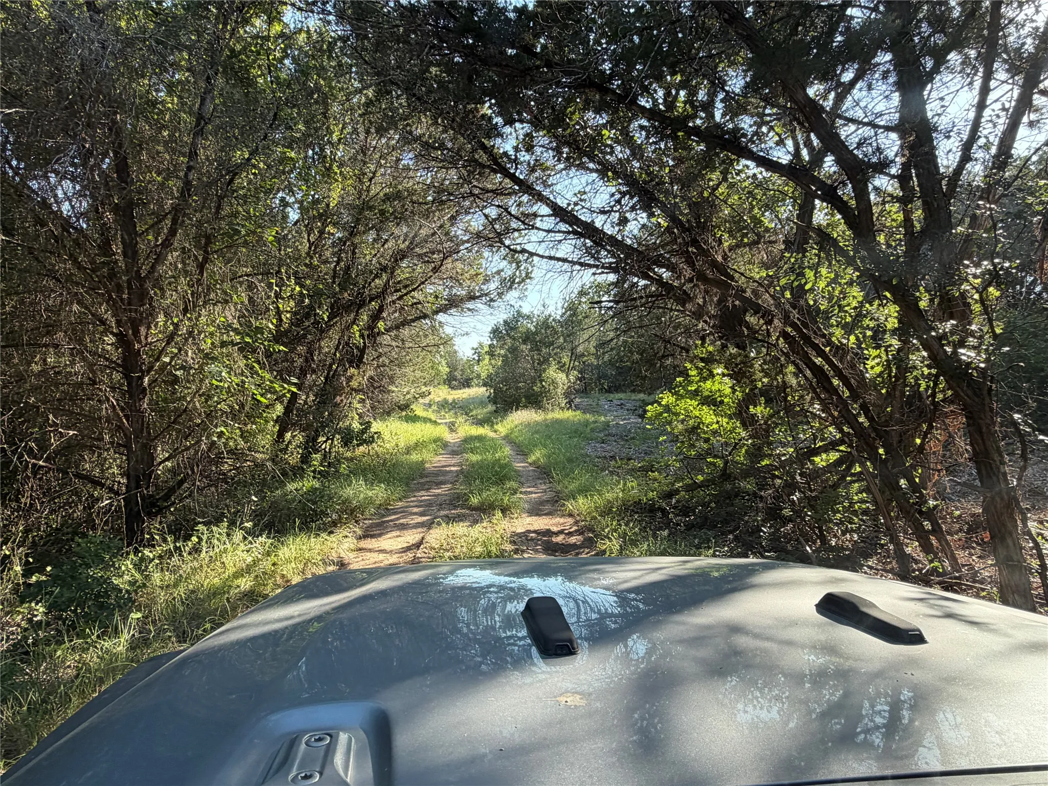 Ranch For Sale in Bosque County , tbd Fm 56, Morgan, Texas 76671, 0, 0, Garage spaces, 0 Sqft, built in 0, Price $139,500, mls#21323564, Real Estate Agent in Morgan, Homes For Sale in Bosque county, Homes For Sale in Morgan, Realtor in Morgan Texas, Real Estate Brokerage Independent Realty Texas, Luminita Cordes Realtor