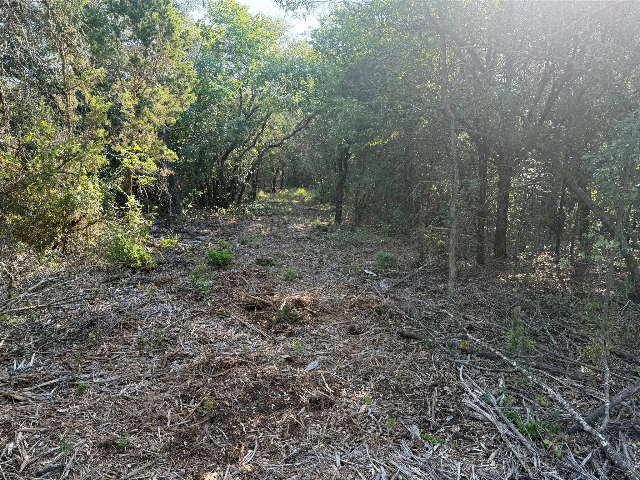Ranch For Sale in Bosque County , tbd Fm 56, Morgan, Texas 76671, 0, 0, Garage spaces, 0 Sqft, built in 0, Price $139,500, mls#21323564, Real Estate Agent in Morgan, Homes For Sale in Bosque county, Homes For Sale in Morgan, Realtor in Morgan Texas, Real Estate Brokerage Independent Realty Texas, Luminita Cordes Realtor