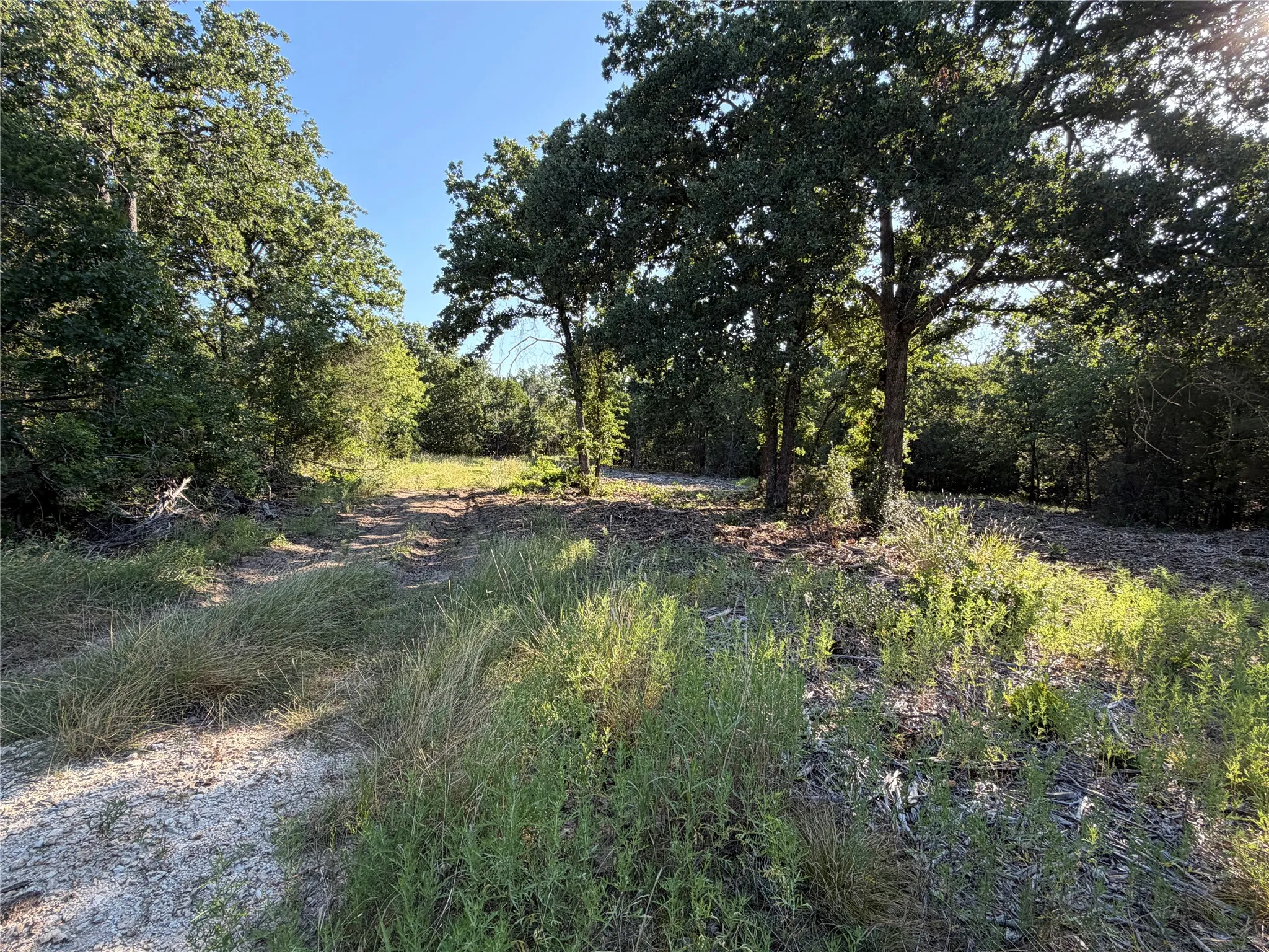 Ranch For Sale in Bosque County , tbd Fm 56, Morgan, Texas 76671, 0, 0, Garage spaces, 0 Sqft, built in 0, Price $139,500, mls#21323564, Real Estate Agent in Morgan, Homes For Sale in Bosque county, Homes For Sale in Morgan, Realtor in Morgan Texas, Real Estate Brokerage Independent Realty Texas, Luminita Cordes Realtor