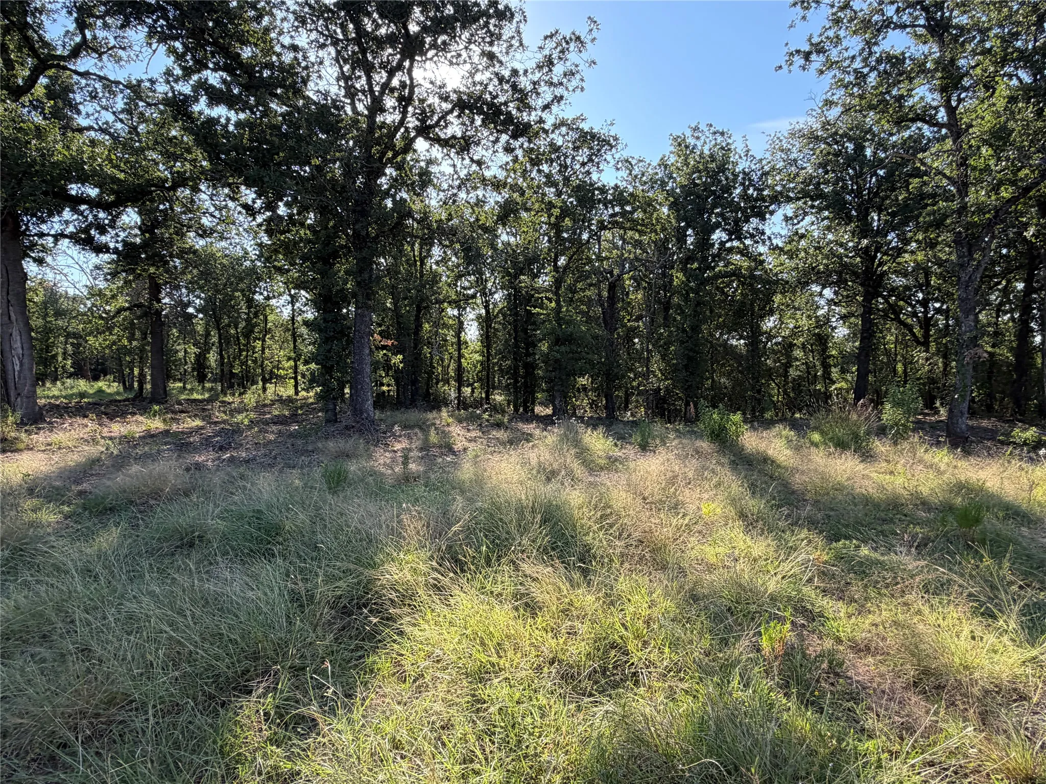 Ranch For Sale in Bosque County , tbd Fm 56, Morgan, Texas 76671, 0, 0, Garage spaces, 0 Sqft, built in 0, Price $139,500, mls#21323564, Real Estate Agent in Morgan, Homes For Sale in Bosque county, Homes For Sale in Morgan, Realtor in Morgan Texas, Real Estate Brokerage Independent Realty Texas, Luminita Cordes Realtor