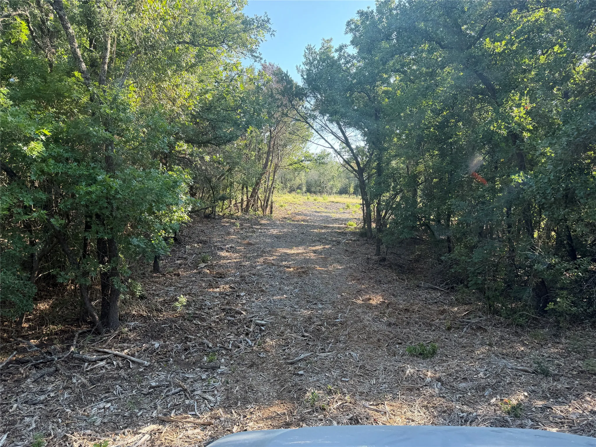 Ranch For Sale in Bosque County , tbd Fm 56, Morgan, Texas 76671, 0, 0, Garage spaces, 0 Sqft, built in 0, Price $139,500, mls#21323564, Real Estate Agent in Morgan, Homes For Sale in Bosque county, Homes For Sale in Morgan, Realtor in Morgan Texas, Real Estate Brokerage Independent Realty Texas, Luminita Cordes Realtor