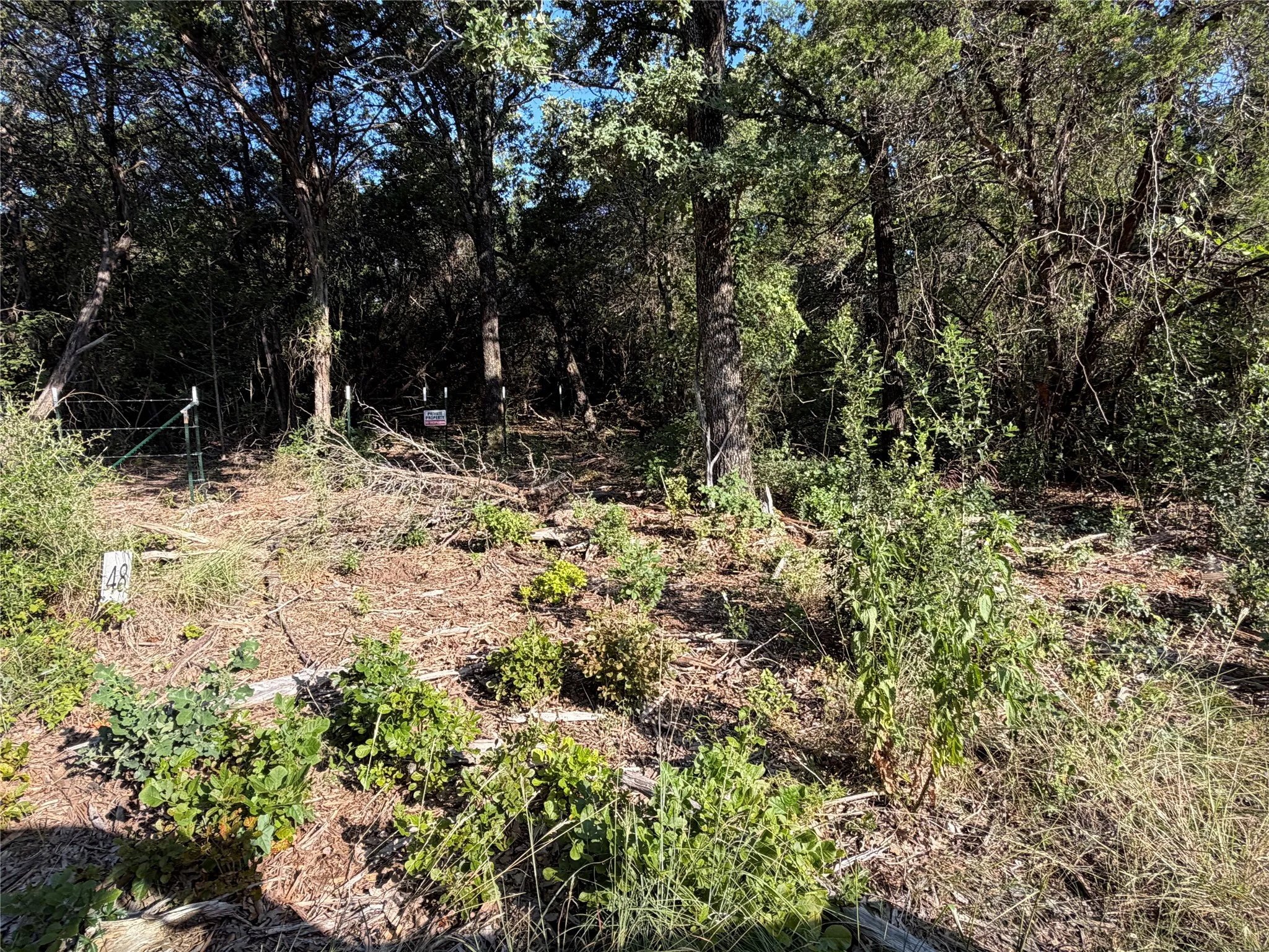 Ranch For Sale in Bosque County , tbd Fm 56, Morgan, Texas 76671, 0, 0, Garage spaces, 0 Sqft, built in 0, Price $139,500, mls#21323564, Real Estate Agent in Morgan, Homes For Sale in Bosque county, Homes For Sale in Morgan, Realtor in Morgan Texas, Real Estate Brokerage Independent Realty Texas, Luminita Cordes Realtor