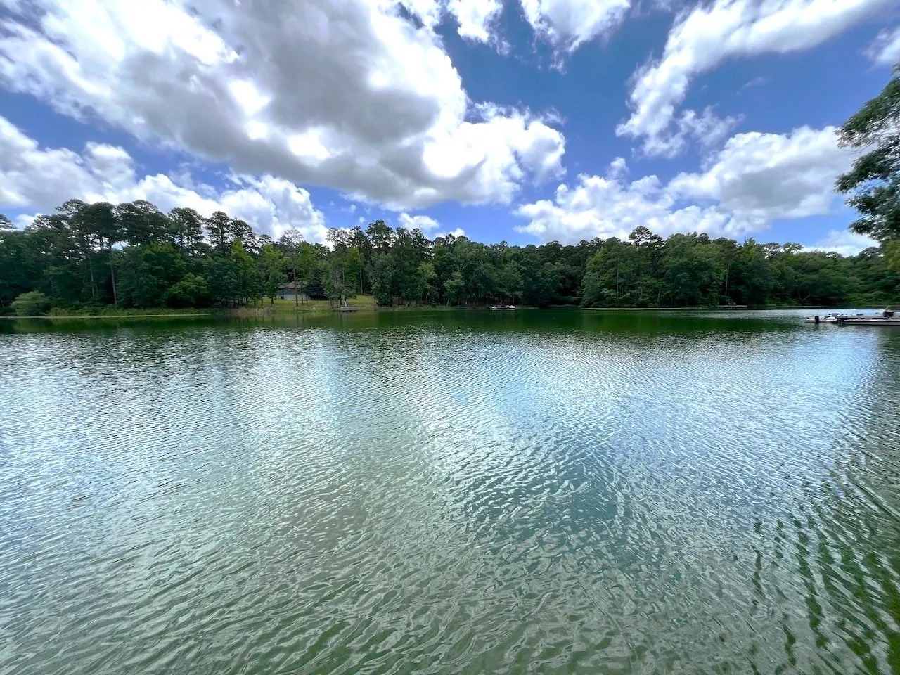 Lake view