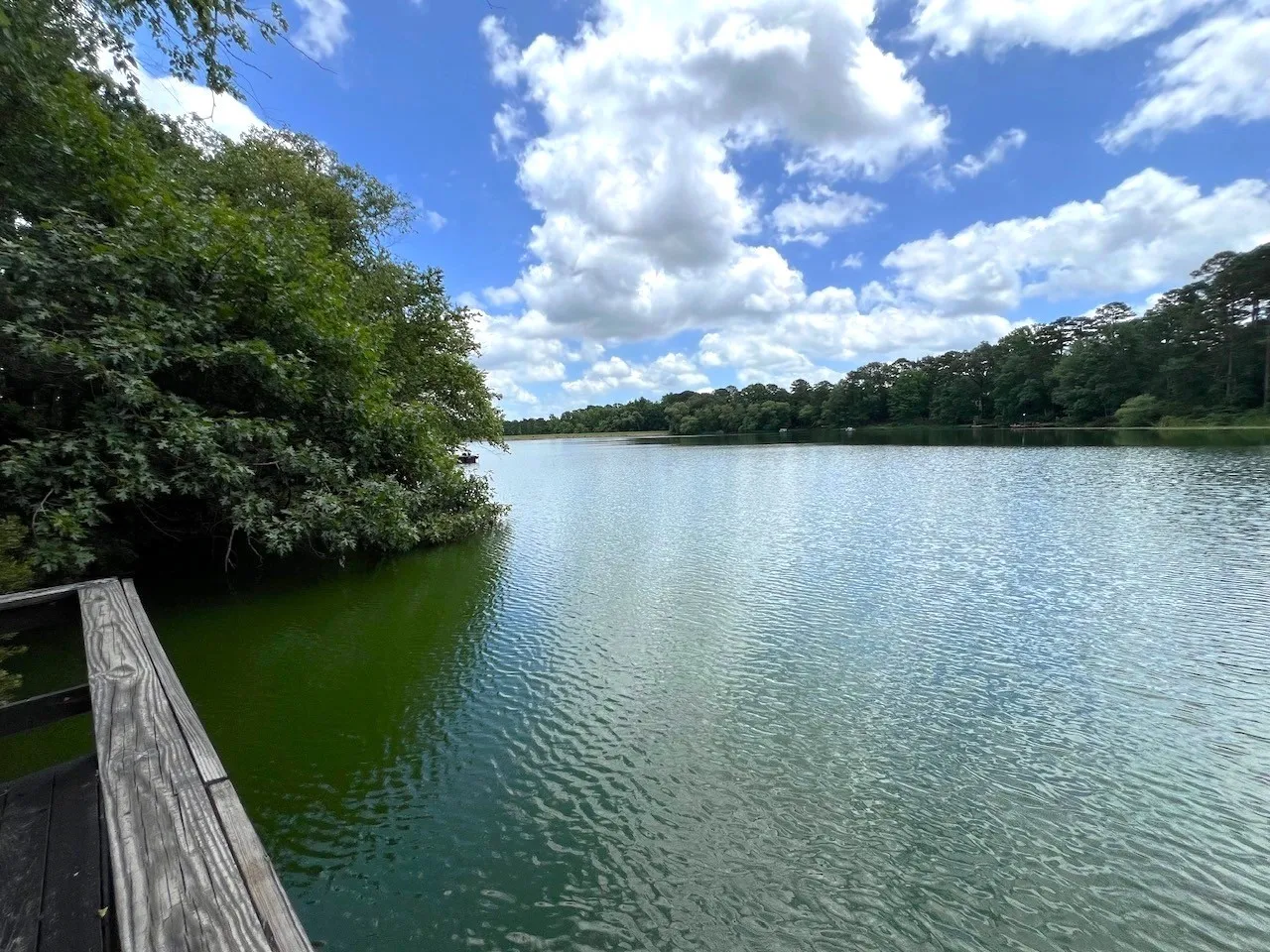 View off dock