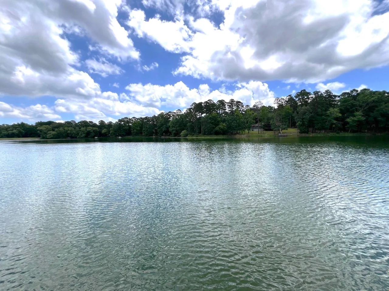 Lake view