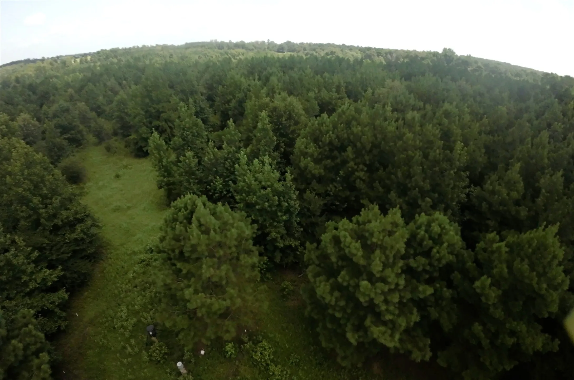 Unimproved Land For Sale in Cass County , TBD CR 1640, Jefferson, Texas 75657, 0, 0, Garage spaces, 0 Sqft, built in 0, Price $168,000, mls#21323599, Real Estate Agent in Jefferson, Homes For Sale in Cass county, Homes For Sale in Jefferson, Realtor in Jefferson Texas, Real Estate Brokerage Independent Realty Texas, Luminita Cordes Realtor
