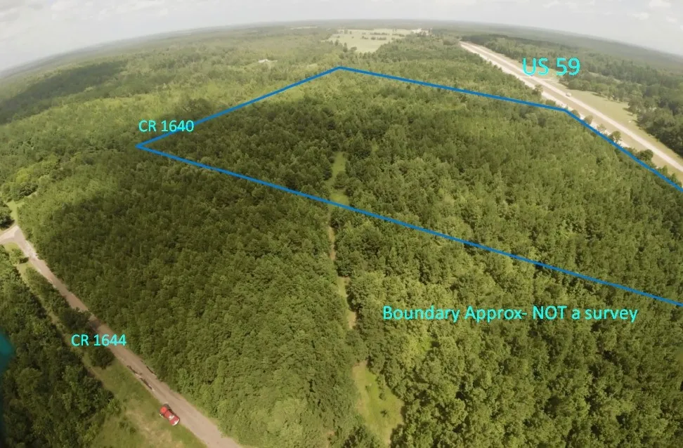 Unimproved Land For Sale in Cass County , TBD CR 1640, Jefferson, Texas 75657, 0, 0, Garage spaces, 0 Sqft, built in 0, Price $168,000, mls#21323599, Real Estate Agent in Jefferson, Homes For Sale in Cass county, Homes For Sale in Jefferson, Realtor in Jefferson Texas, Real Estate Brokerage Independent Realty Texas, Luminita Cordes Realtor
