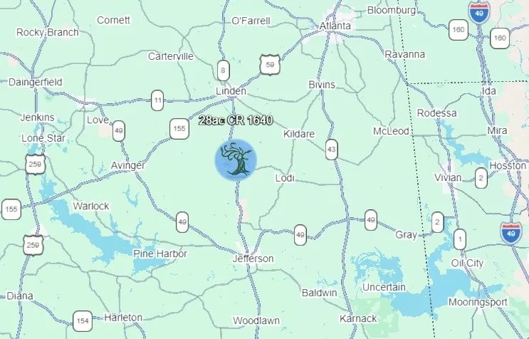 Unimproved Land For Sale in Cass County , TBD CR 1640, Jefferson, Texas 75657, 0, 0, Garage spaces, 0 Sqft, built in 0, Price $168,000, mls#21323599, Real Estate Agent in Jefferson, Homes For Sale in Cass county, Homes For Sale in Jefferson, Realtor in Jefferson Texas, Real Estate Brokerage Independent Realty Texas, Luminita Cordes Realtor