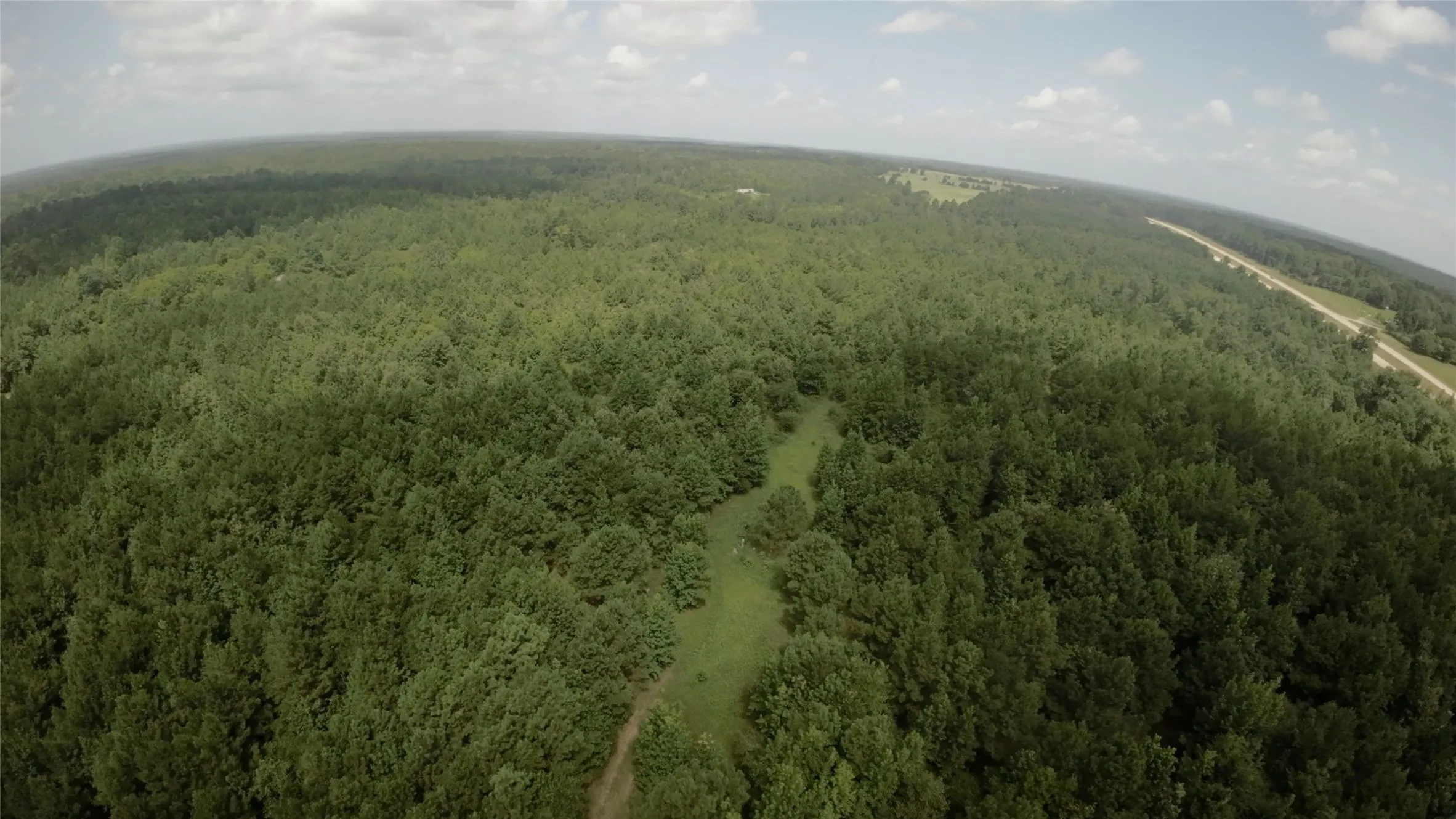 Unimproved Land For Sale in Cass County , TBD CR 1640, Jefferson, Texas 75657, 0, 0, Garage spaces, 0 Sqft, built in 0, Price $168,000, mls#21323599, Real Estate Agent in Jefferson, Homes For Sale in Cass county, Homes For Sale in Jefferson, Realtor in Jefferson Texas, Real Estate Brokerage Independent Realty Texas, Luminita Cordes Realtor