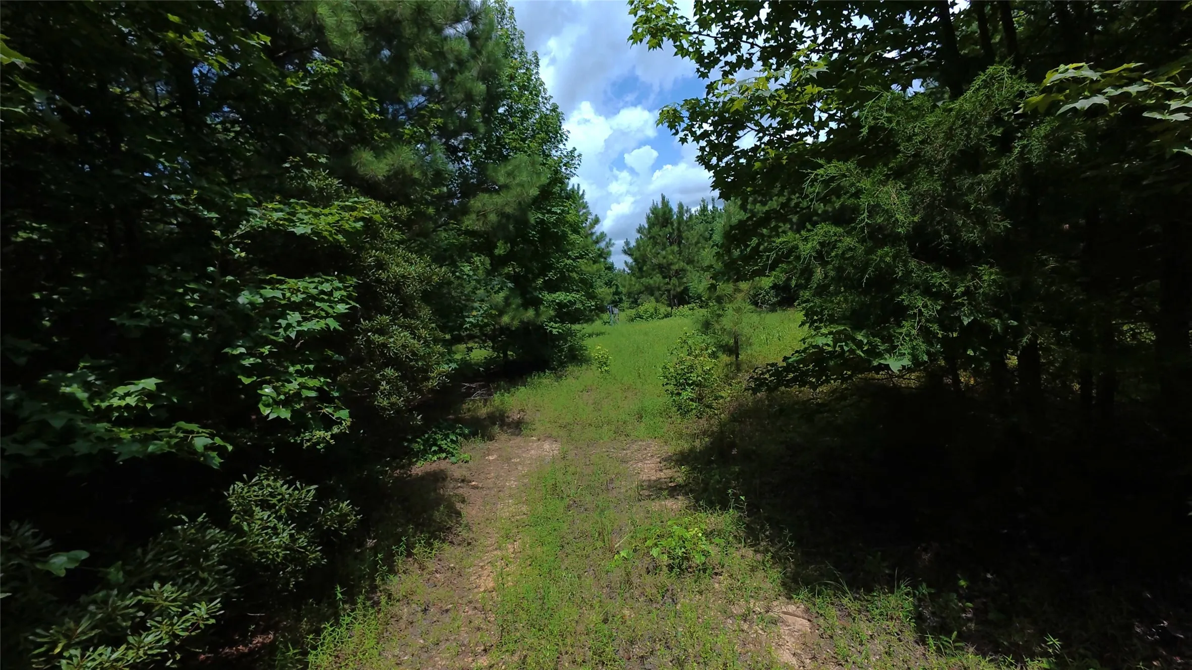 Unimproved Land For Sale in Cass County , TBD CR 1640, Jefferson, Texas 75657, 0, 0, Garage spaces, 0 Sqft, built in 0, Price $168,000, mls#21323599, Real Estate Agent in Jefferson, Homes For Sale in Cass county, Homes For Sale in Jefferson, Realtor in Jefferson Texas, Real Estate Brokerage Independent Realty Texas, Luminita Cordes Realtor
