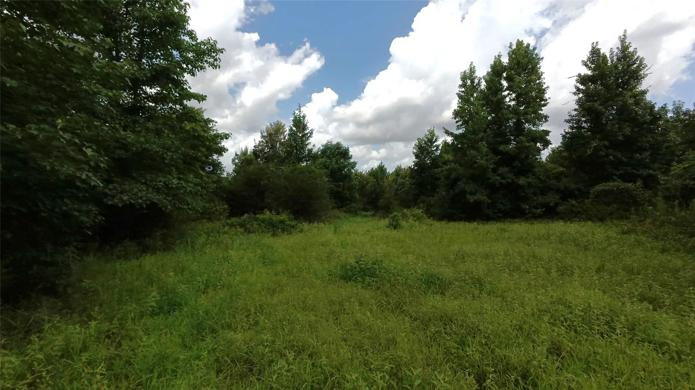 Unimproved Land For Sale in Cass County , TBD CR 1640, Jefferson, Texas 75657, 0, 0, Garage spaces, 0 Sqft, built in 0, Price $168,000, mls#21323599, Real Estate Agent in Jefferson, Homes For Sale in Cass county, Homes For Sale in Jefferson, Realtor in Jefferson Texas, Real Estate Brokerage Independent Realty Texas, Luminita Cordes Realtor