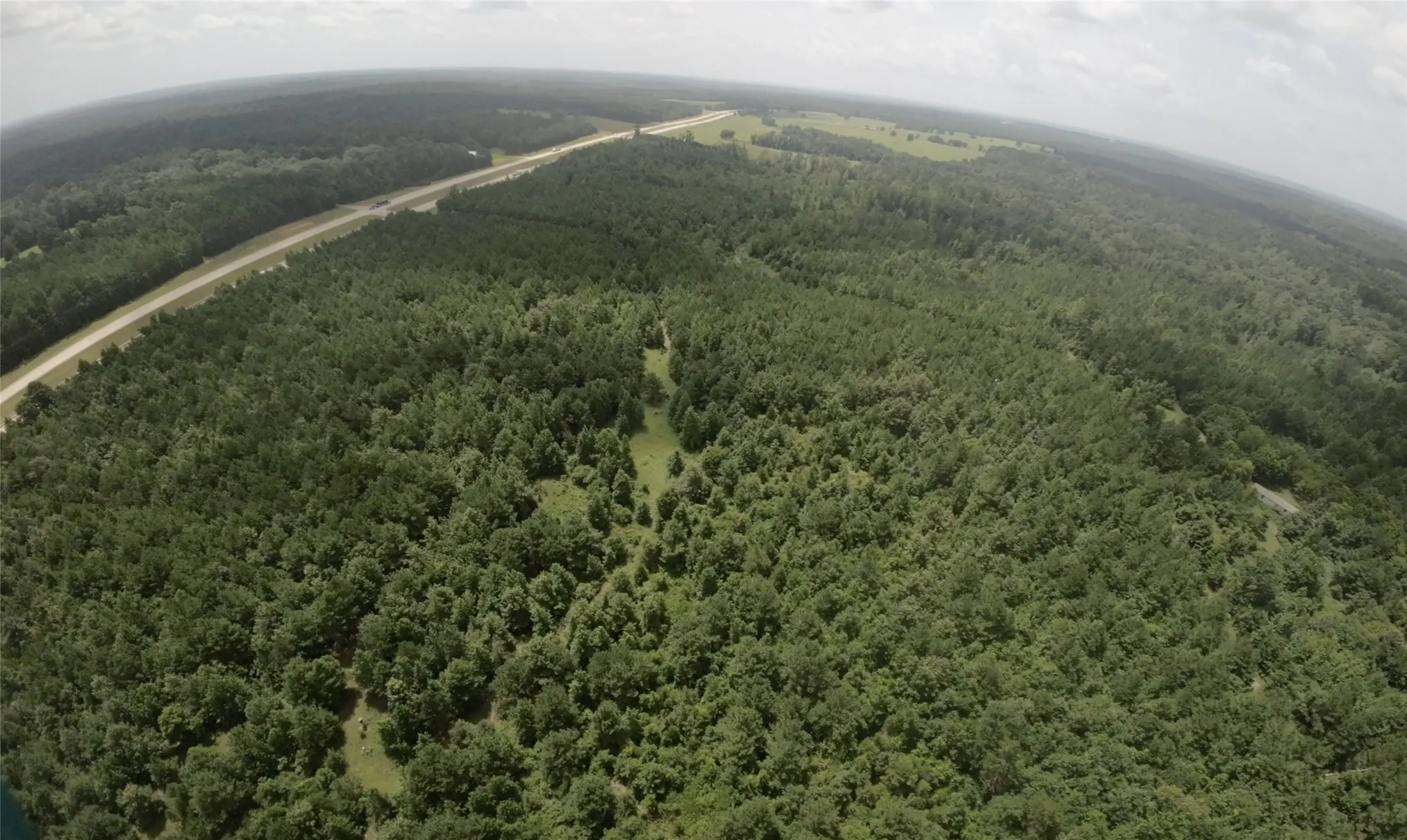 Unimproved Land For Sale in Cass County , TBD CR 1640, Jefferson, Texas 75657, 0, 0, Garage spaces, 0 Sqft, built in 0, Price $168,000, mls#21323599, Real Estate Agent in Jefferson, Homes For Sale in Cass county, Homes For Sale in Jefferson, Realtor in Jefferson Texas, Real Estate Brokerage Independent Realty Texas, Luminita Cordes Realtor